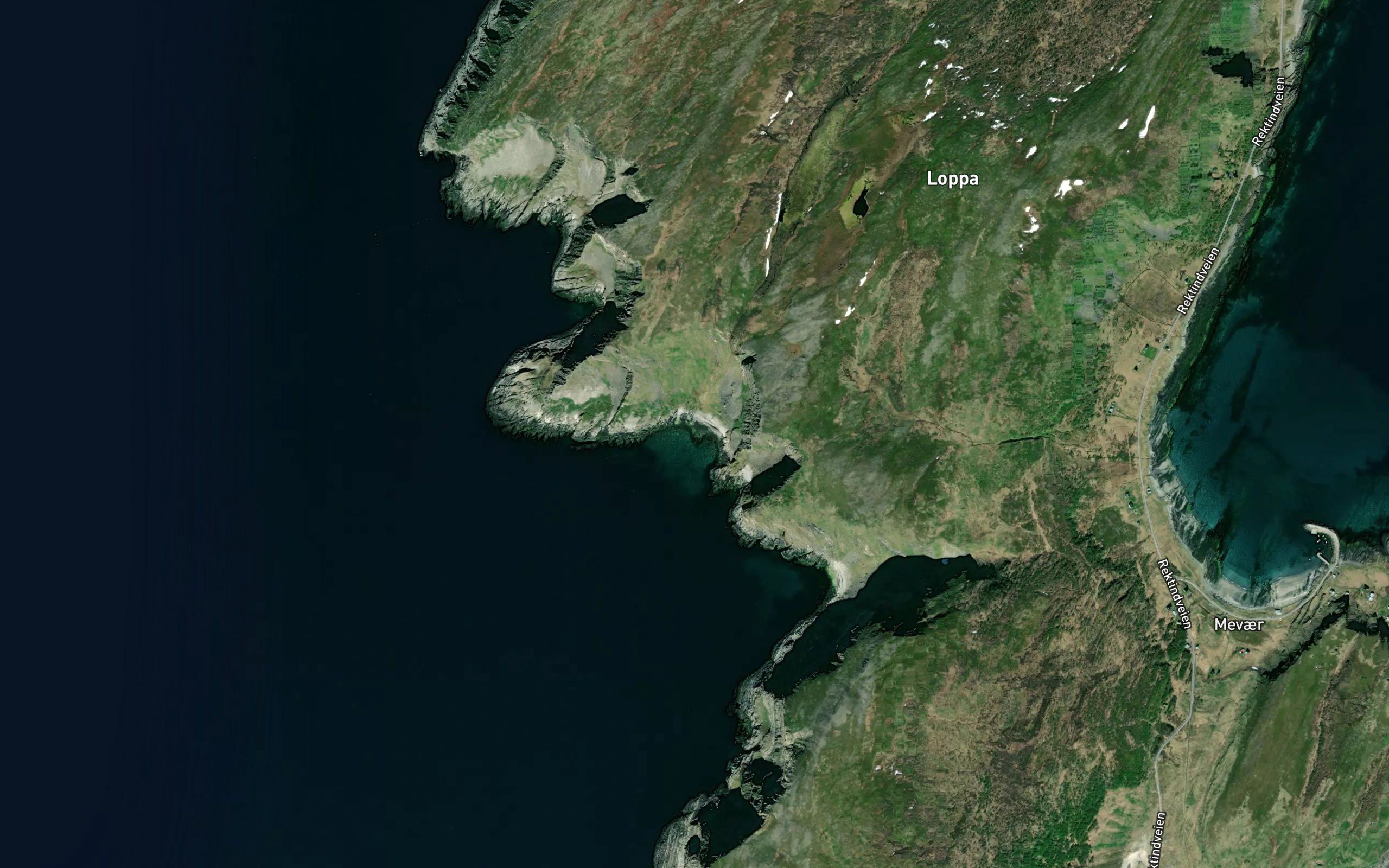 Buvika