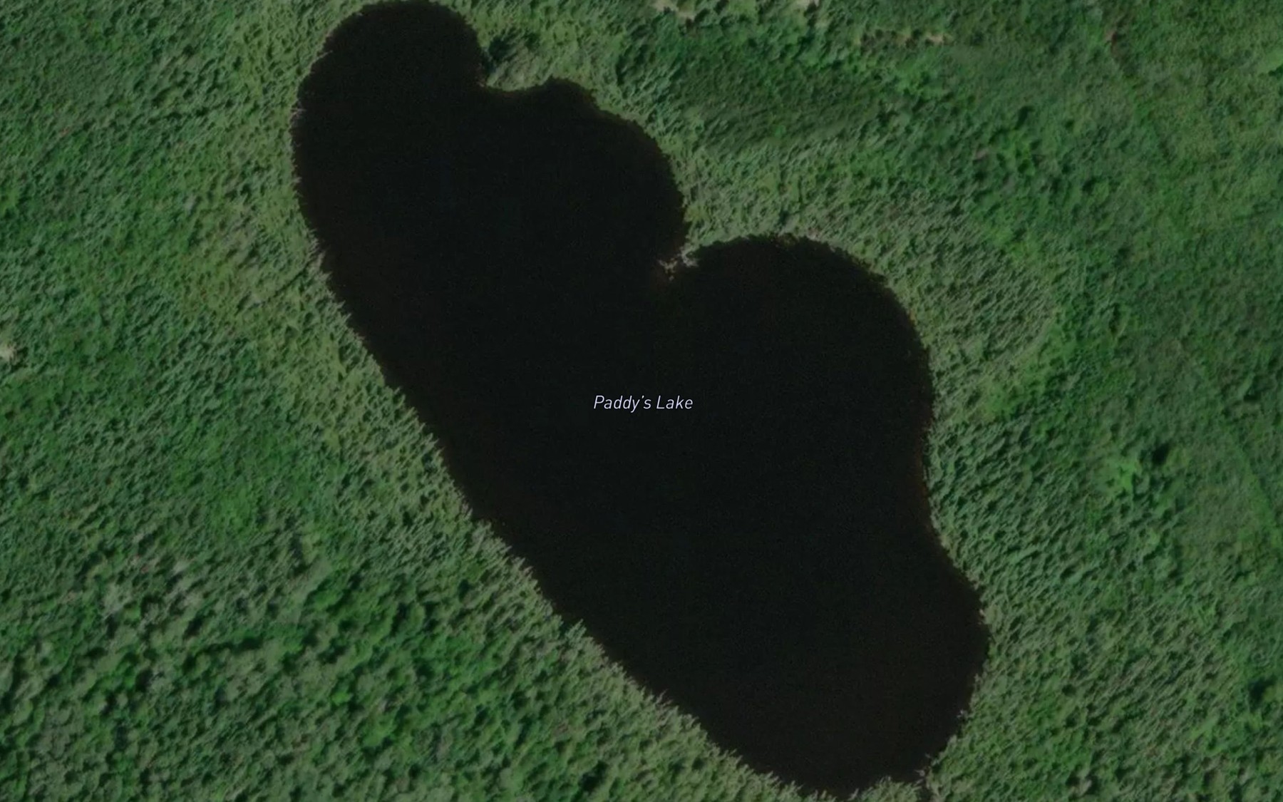 Satellite map of the Paddy's Lake