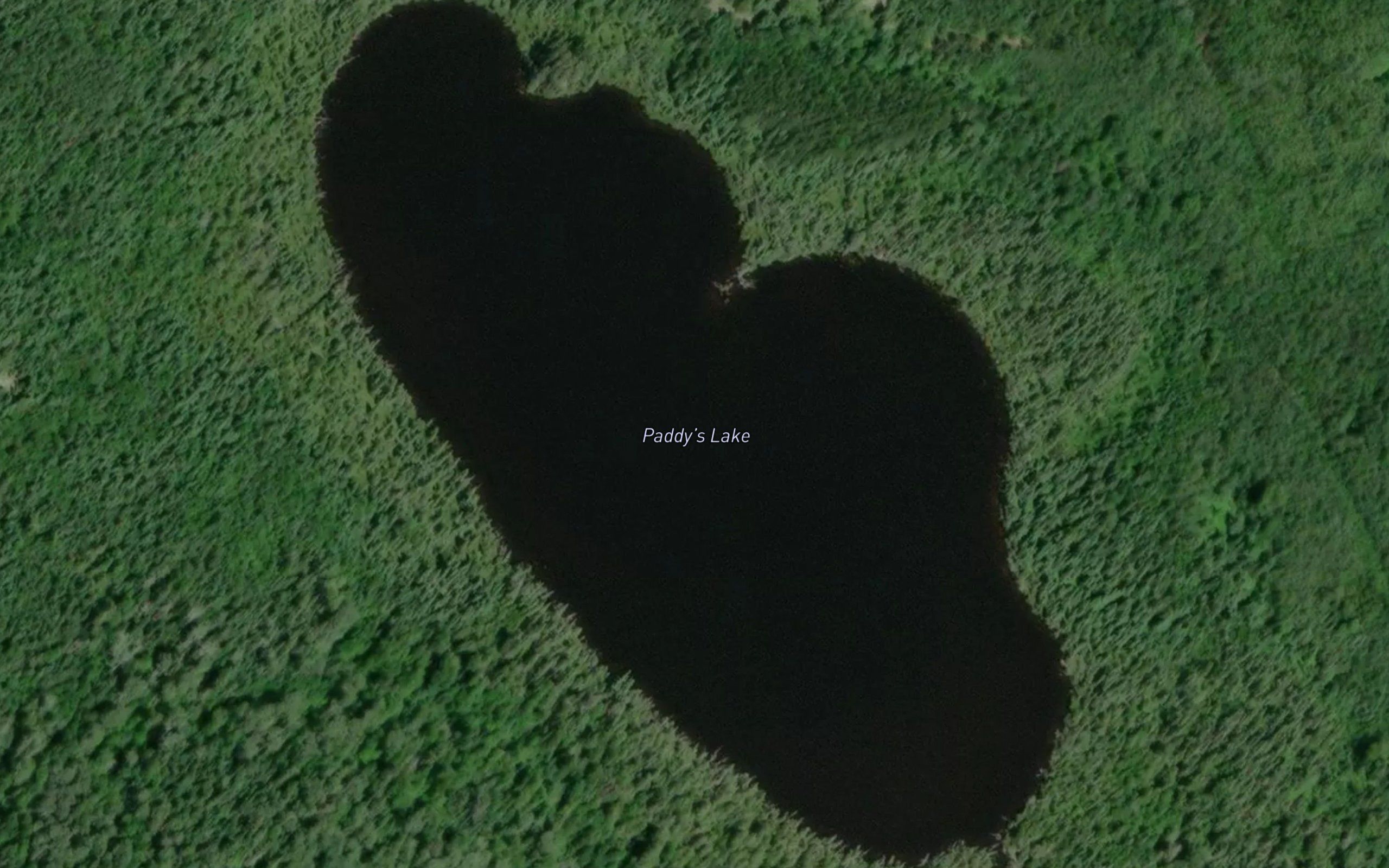 Paddy's Lake