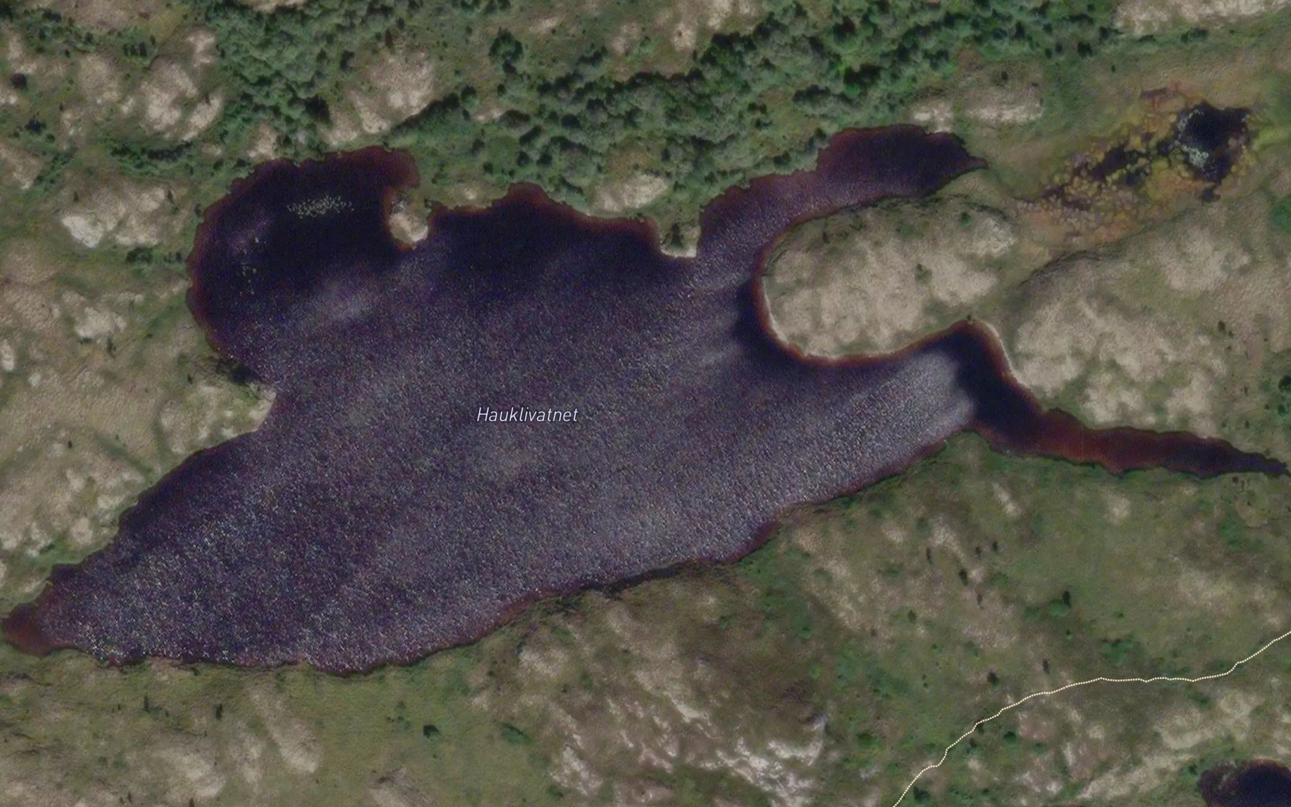 Hauklivatnet