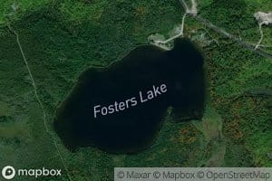 Fosters Lake