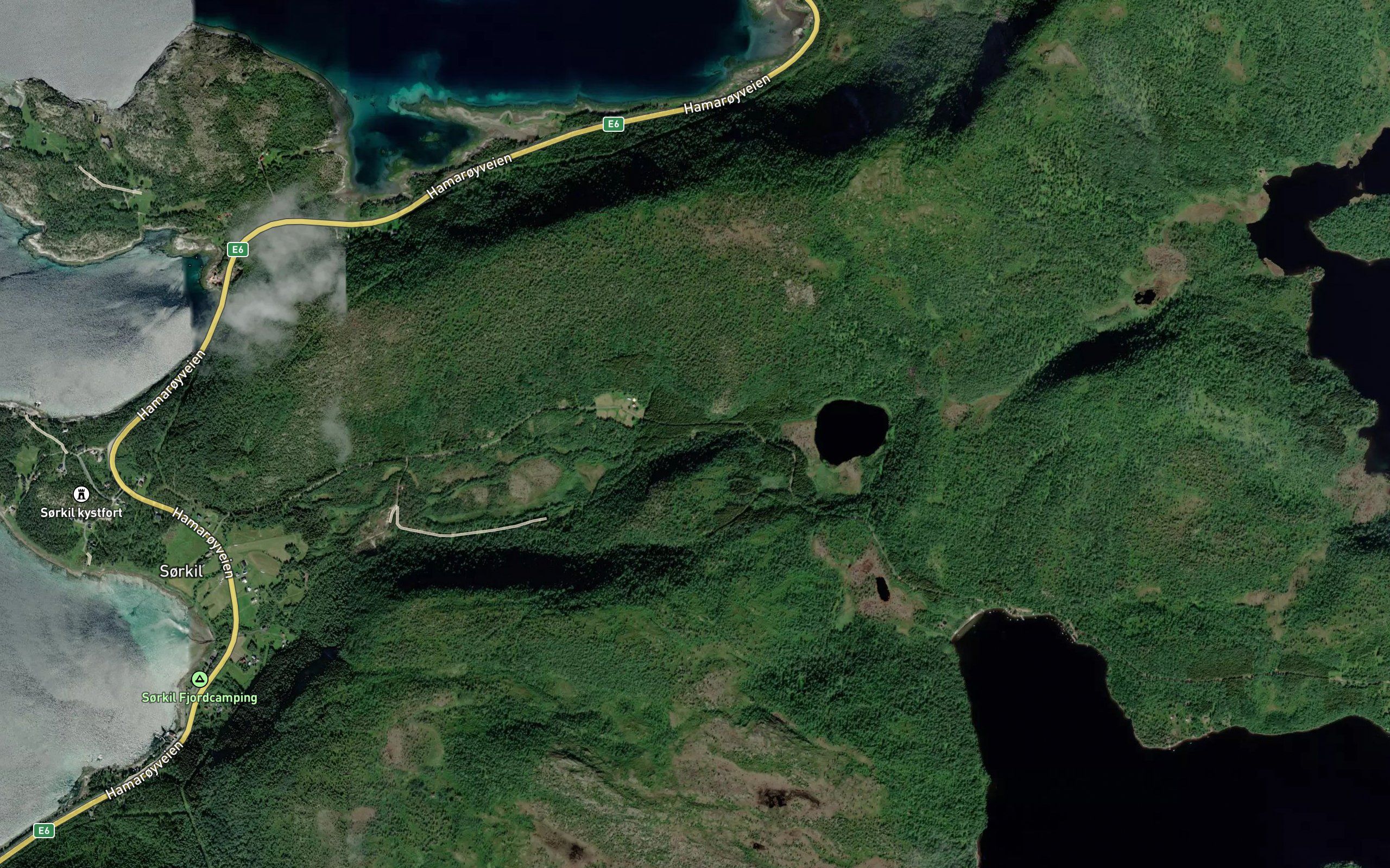 Nokkvasselva