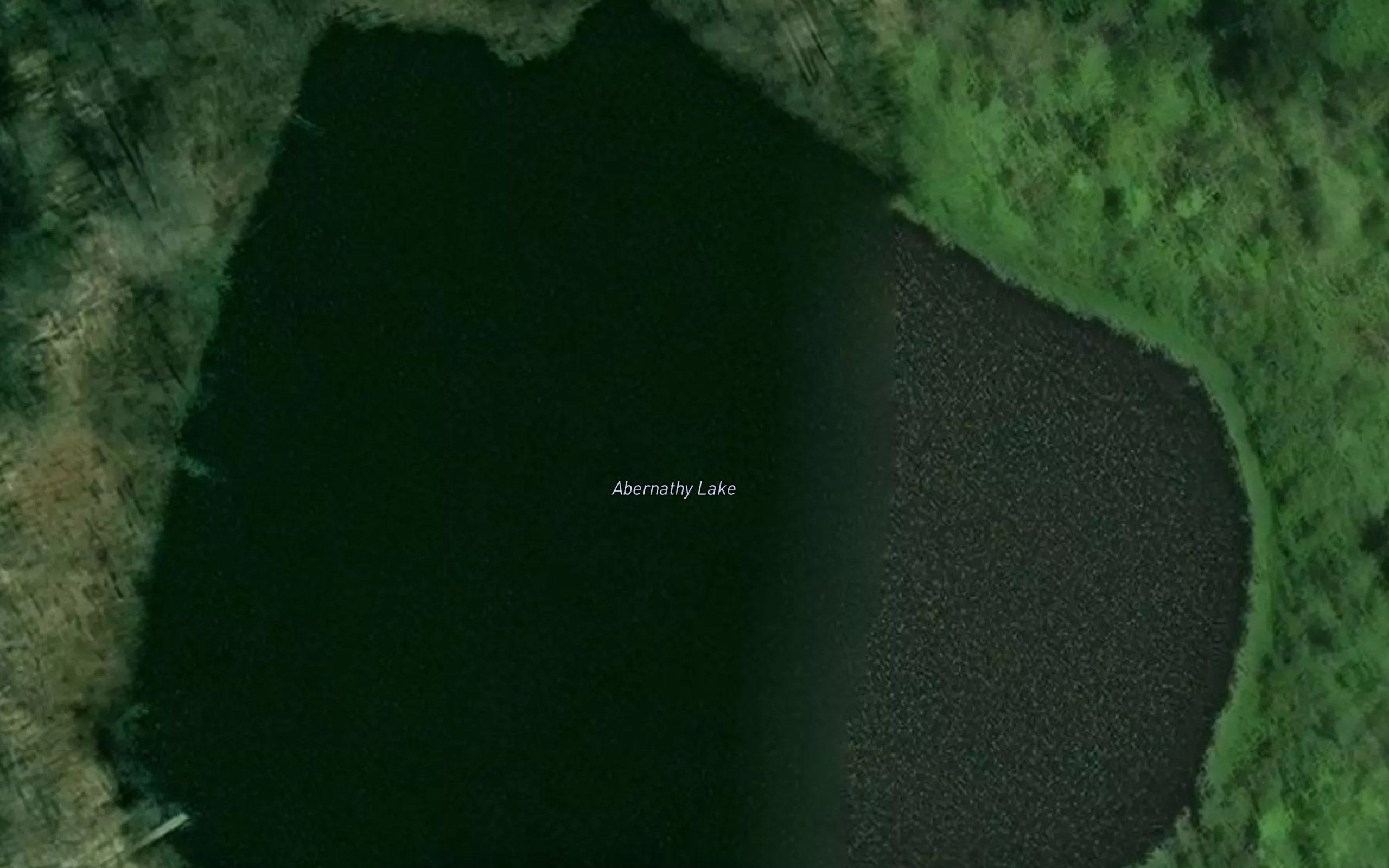 Abernathy Lake