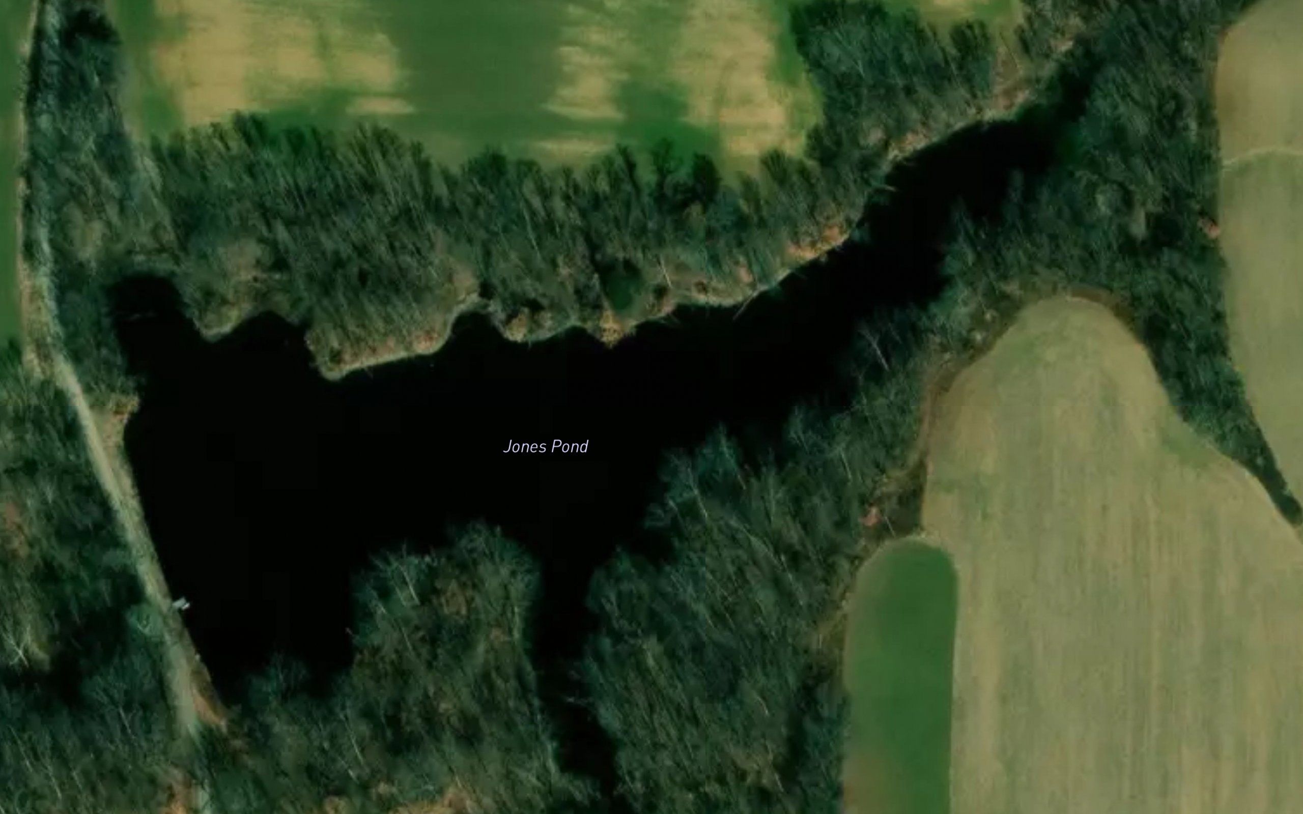 Jones Pond