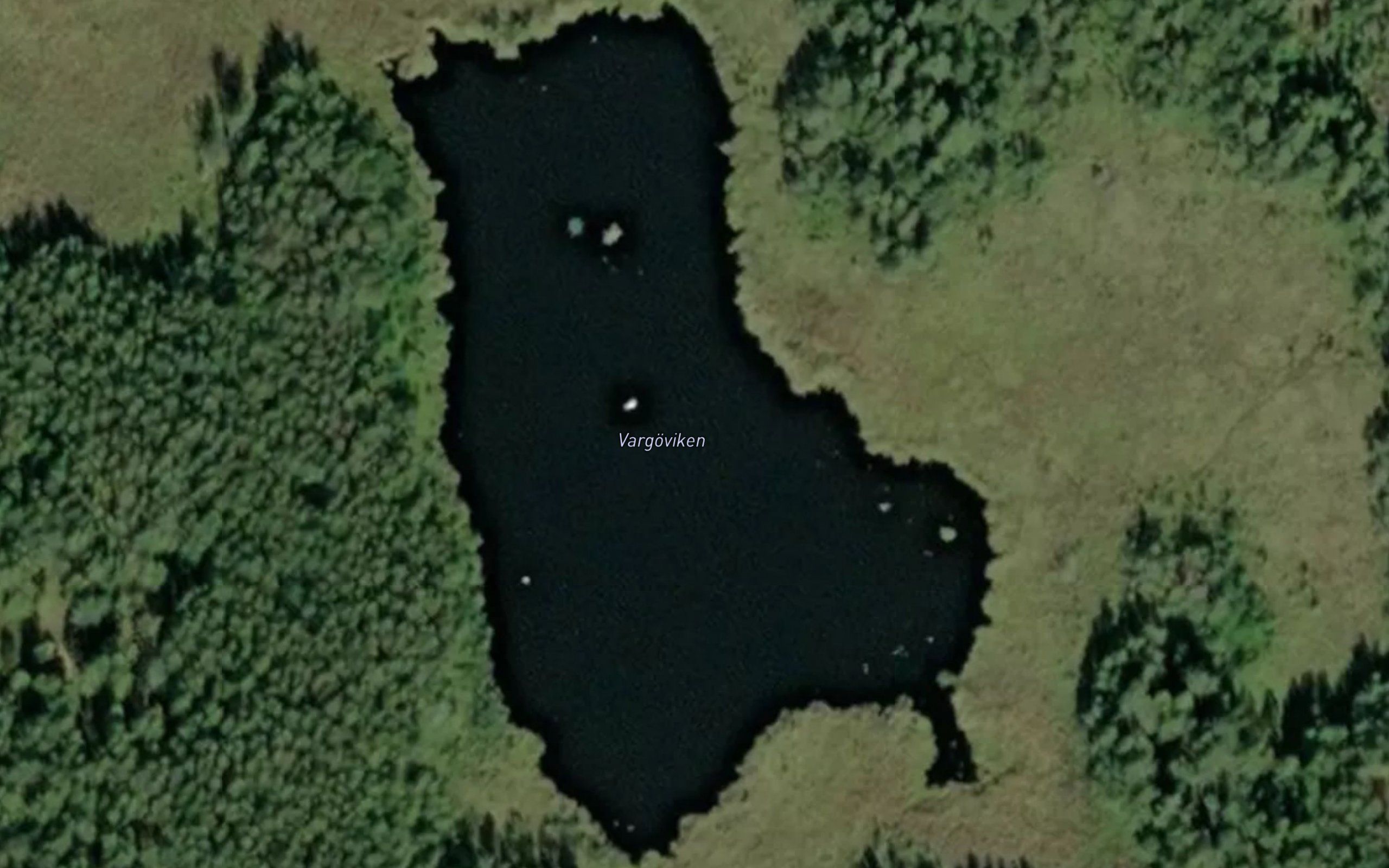 Vargoviken