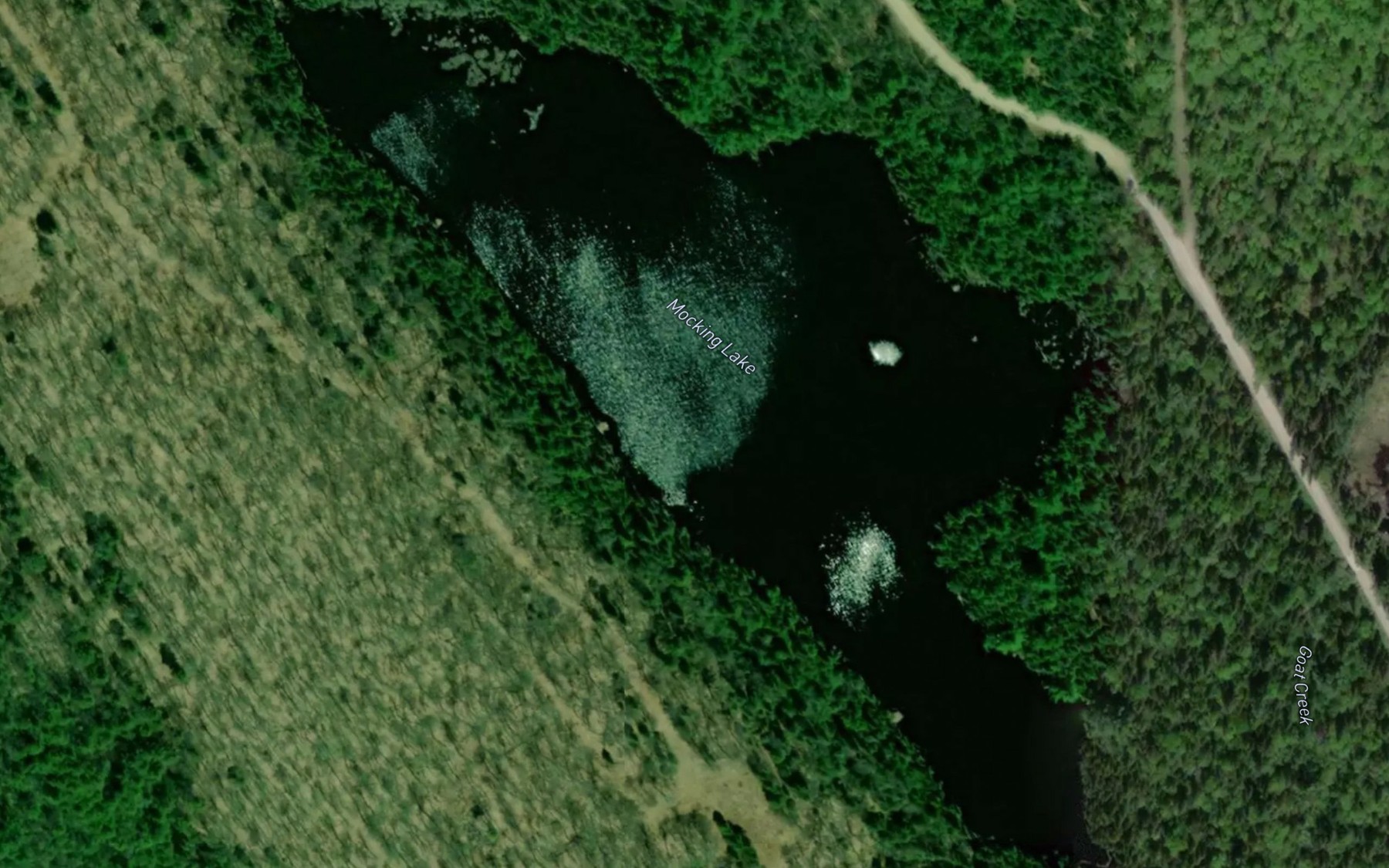Satellite map of the Mocking Lake