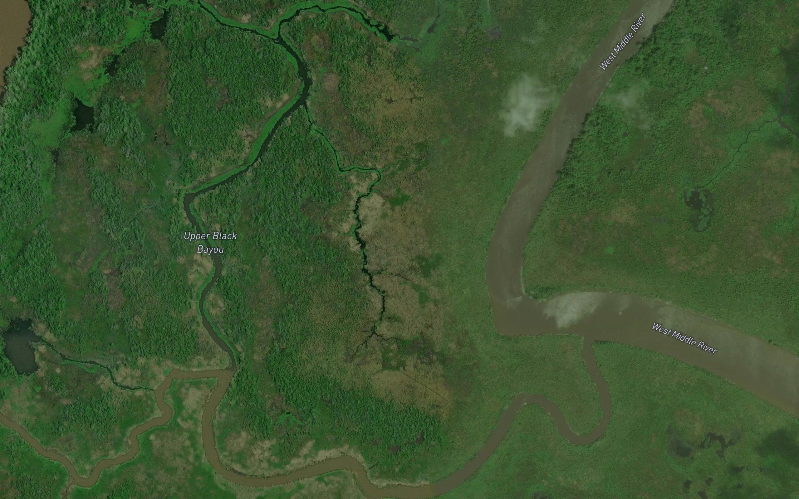 Upper Black Bayou