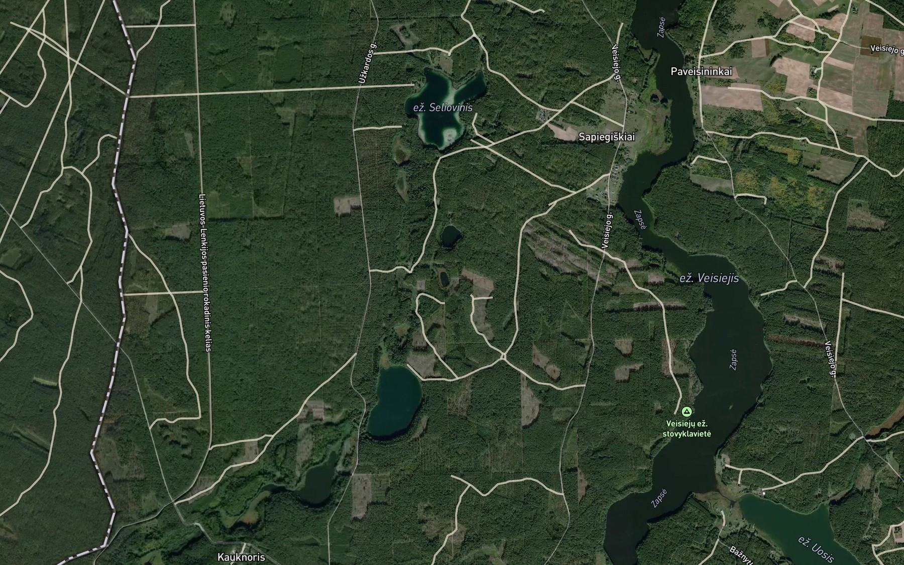 Satellite map of the Ezeras Plaskelis