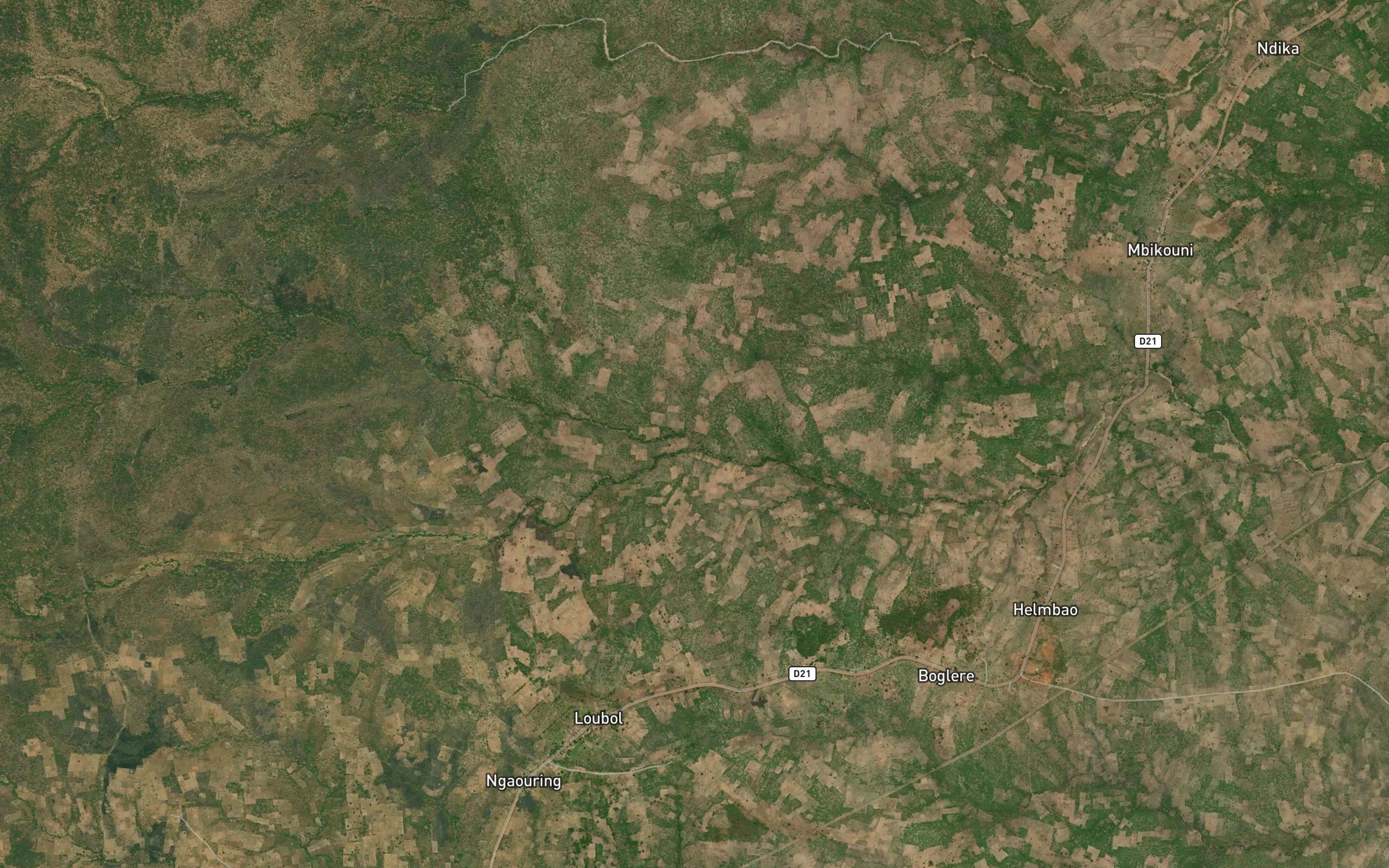 Bozole
