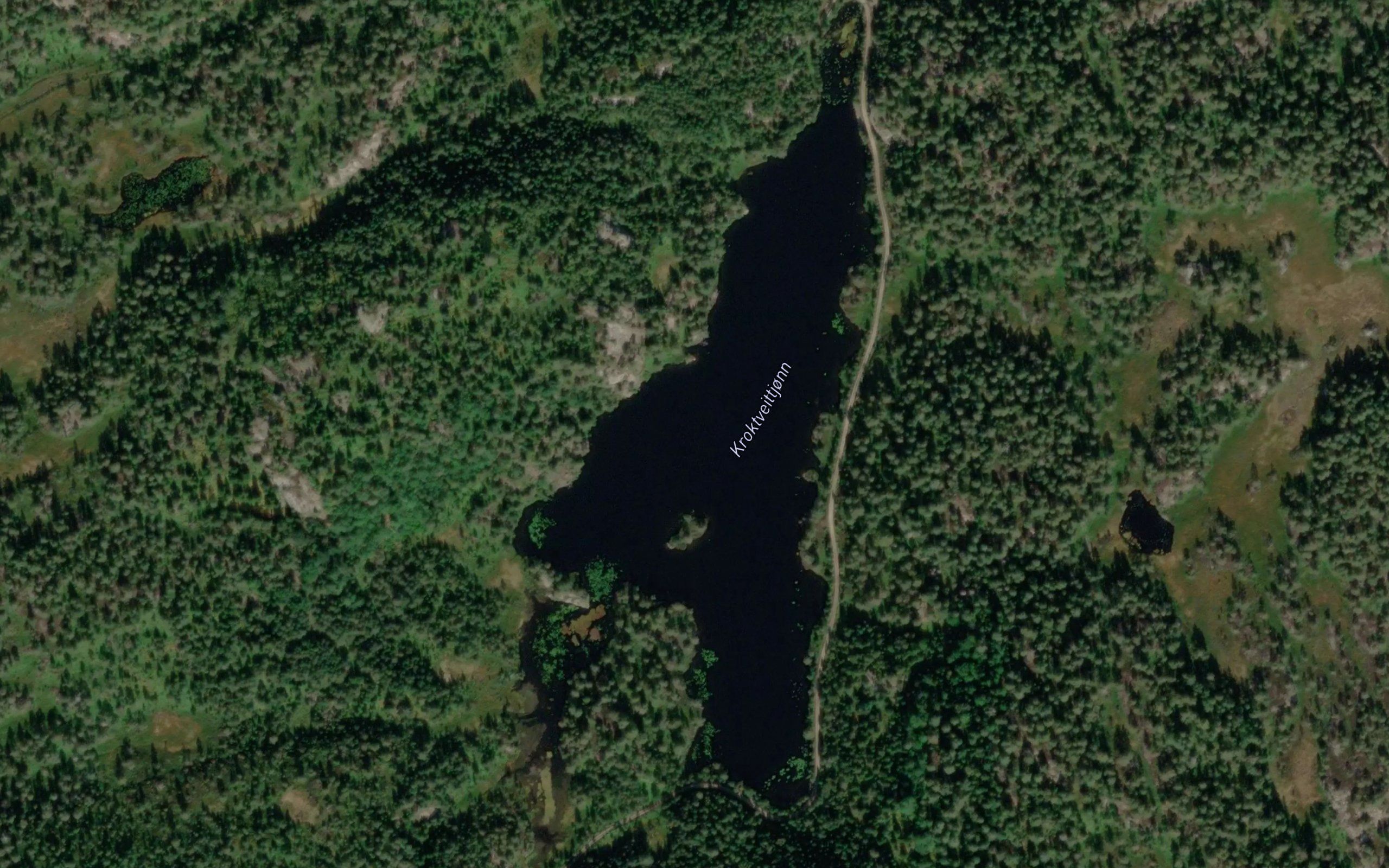 Kroktveittjonn