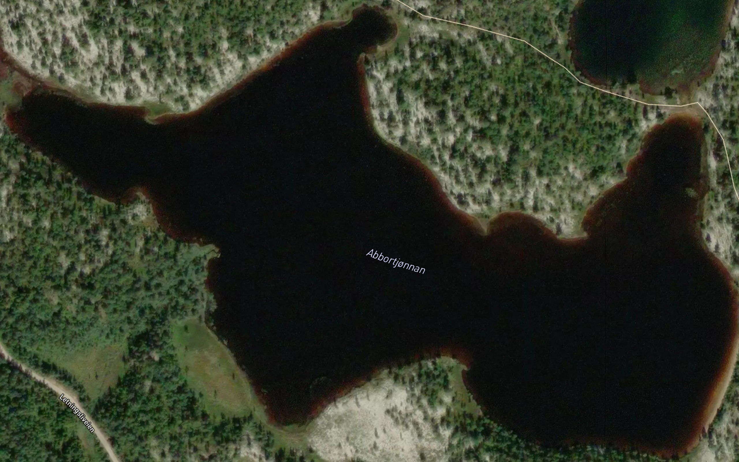 Abbortjornene