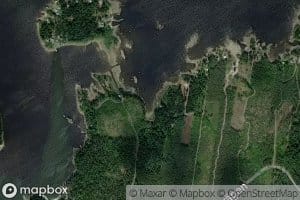 Lallviken