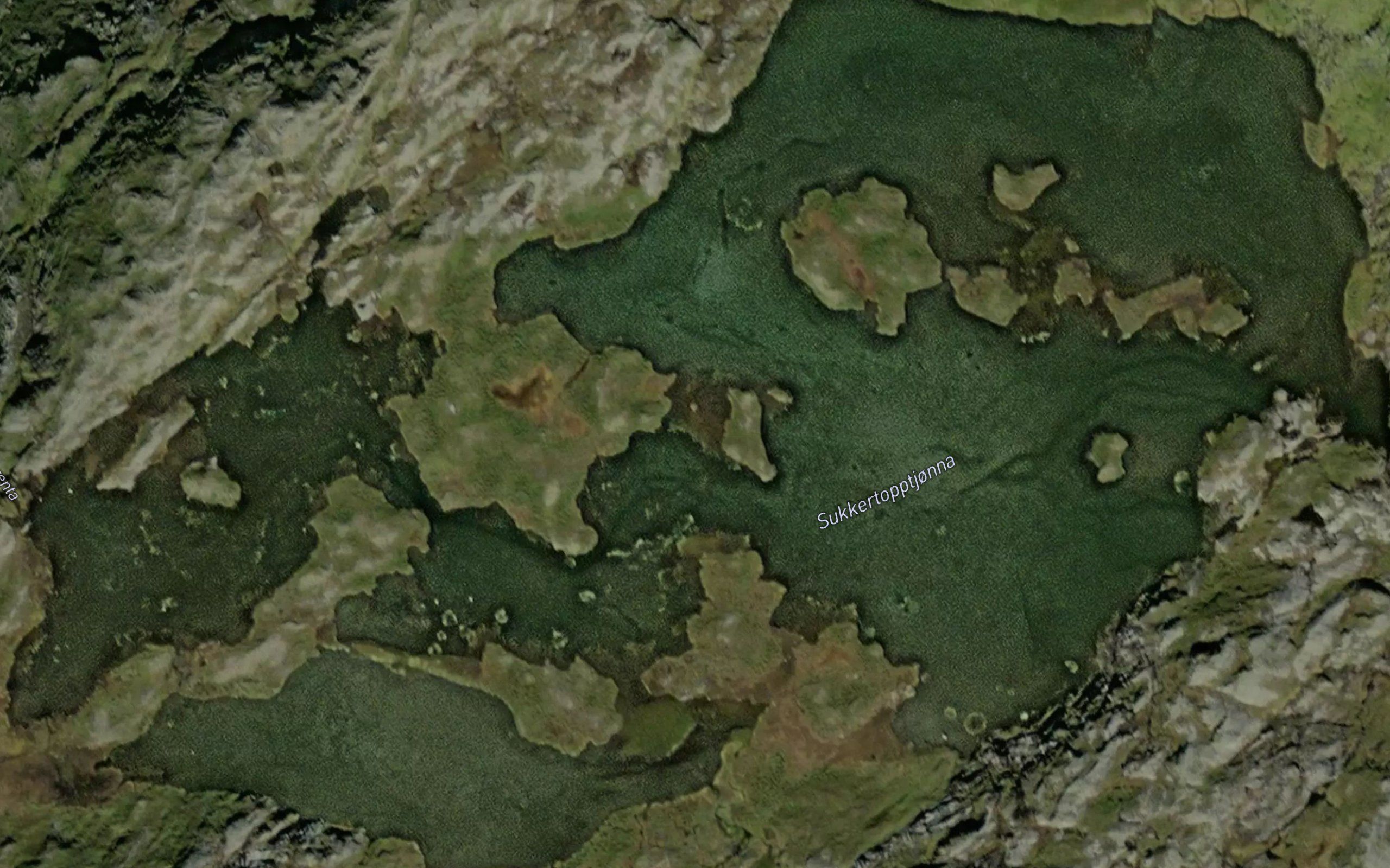 Sukkertopptjorna