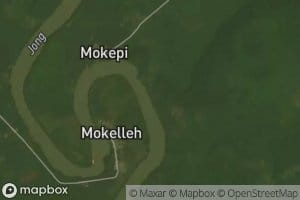 Mokui