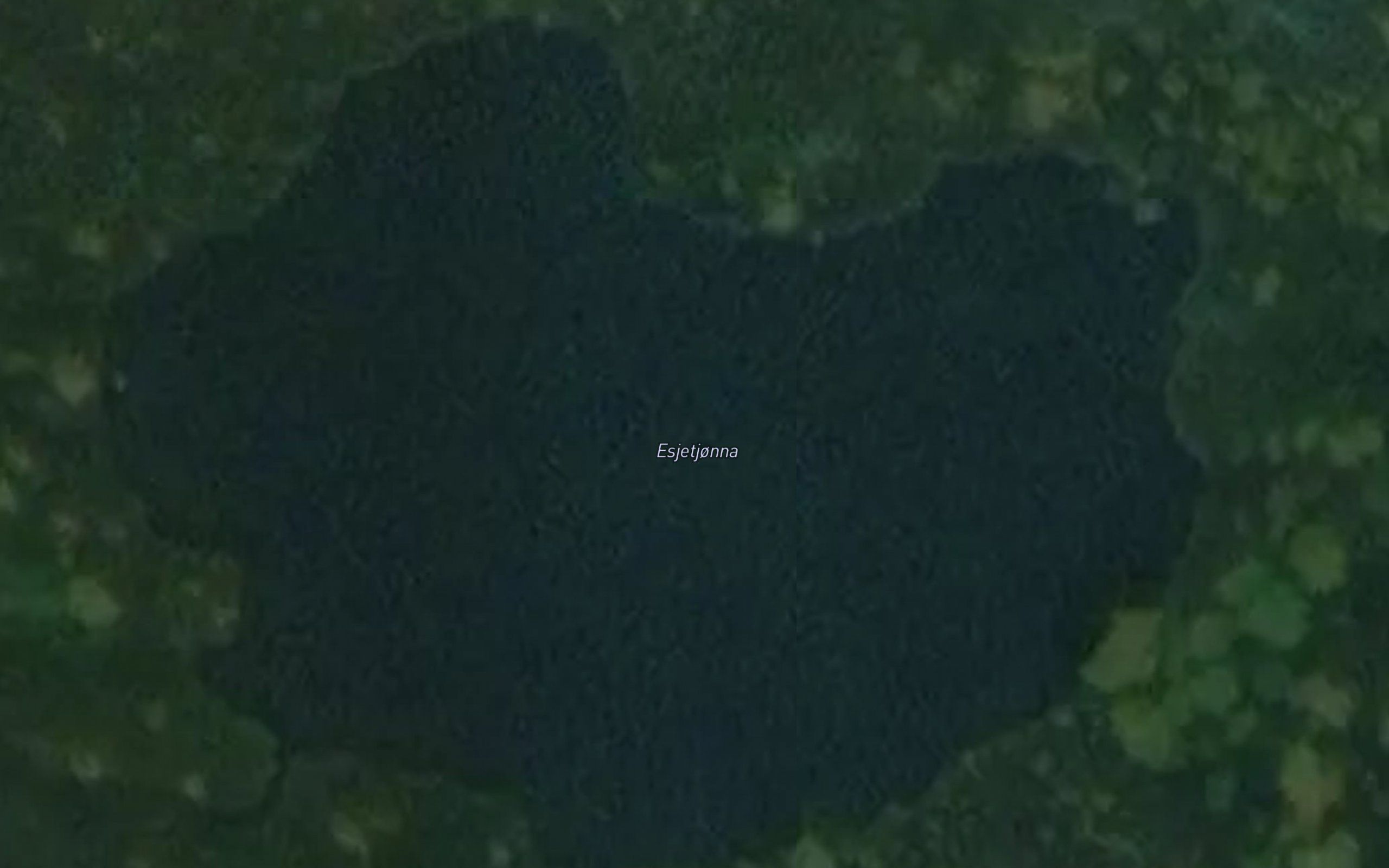 Esjetjorna