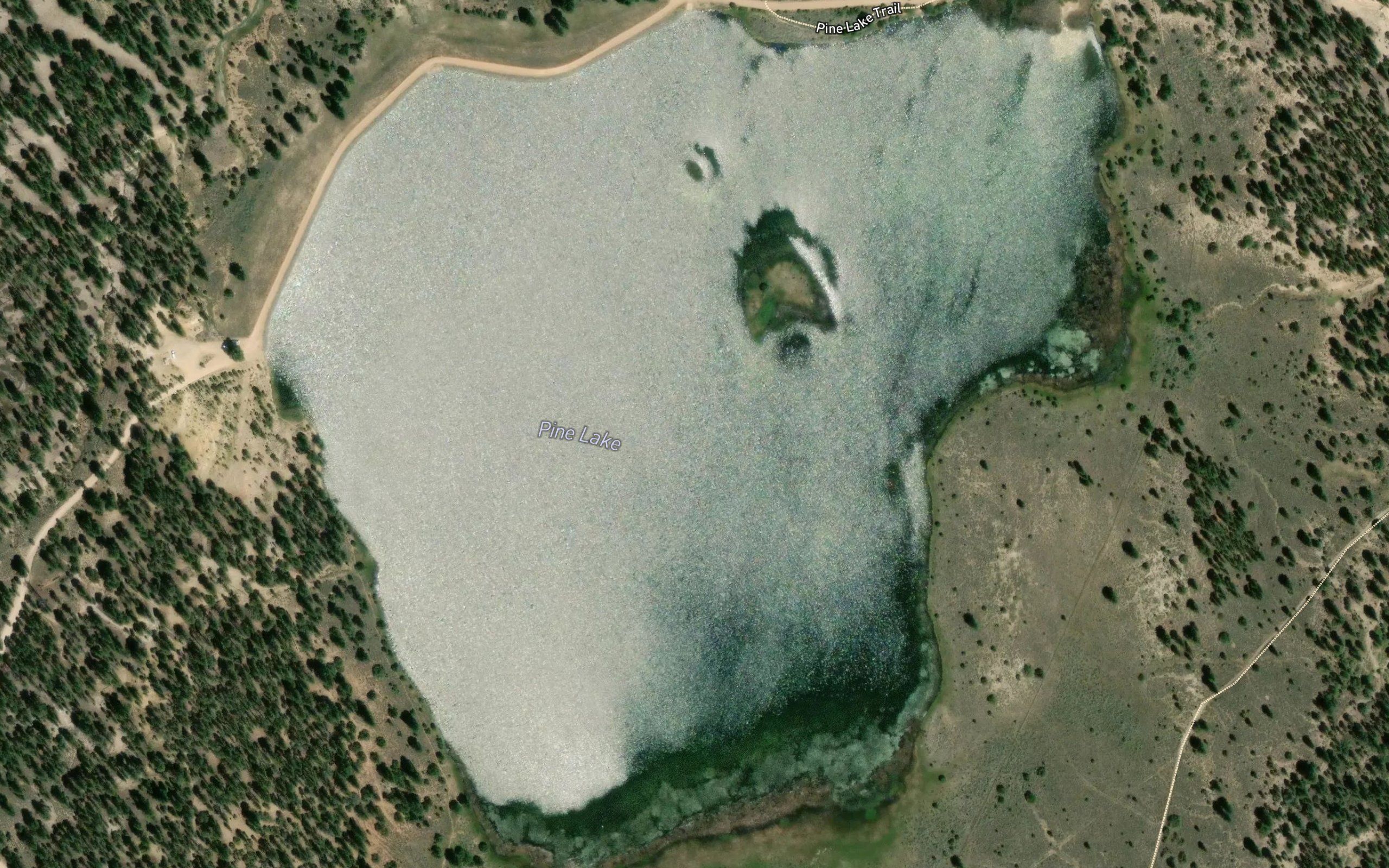 Pine Lake
