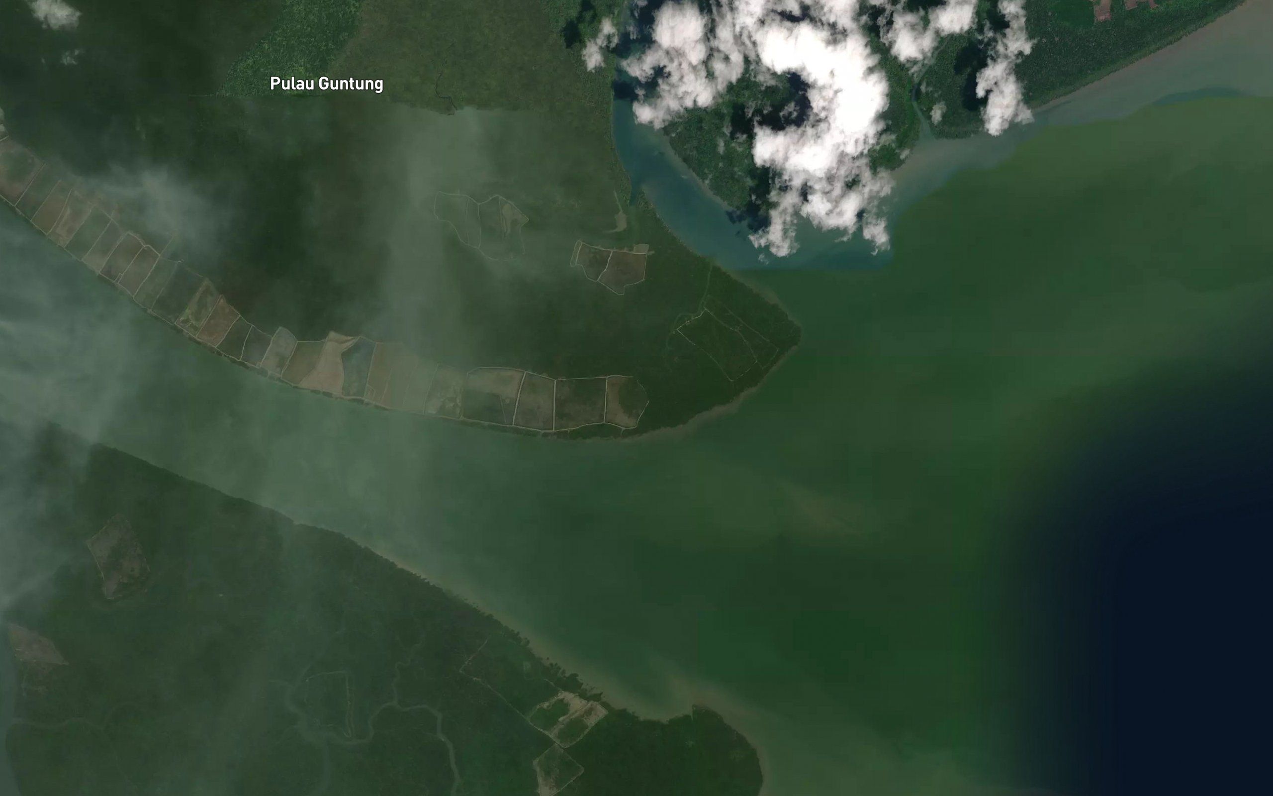 Muara Garua