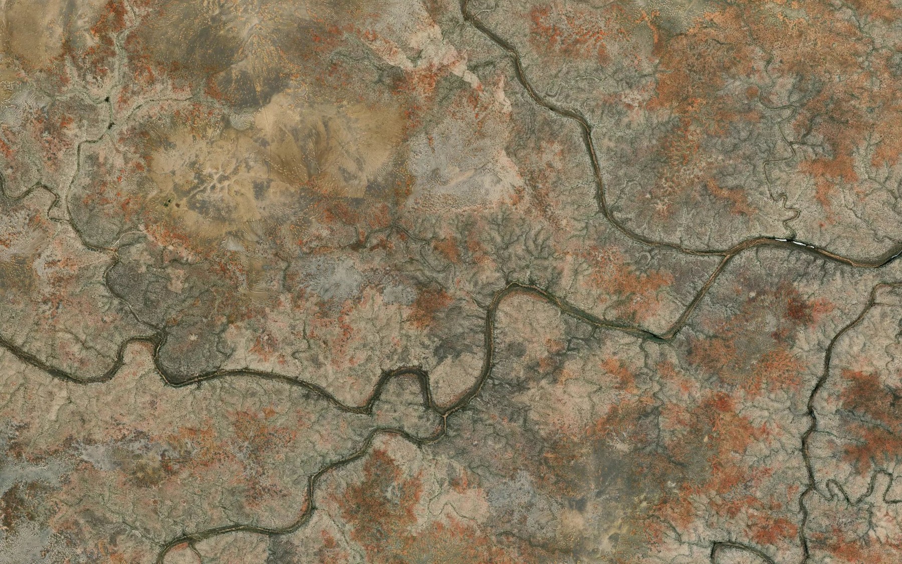 Satellite map of the Champion Creek