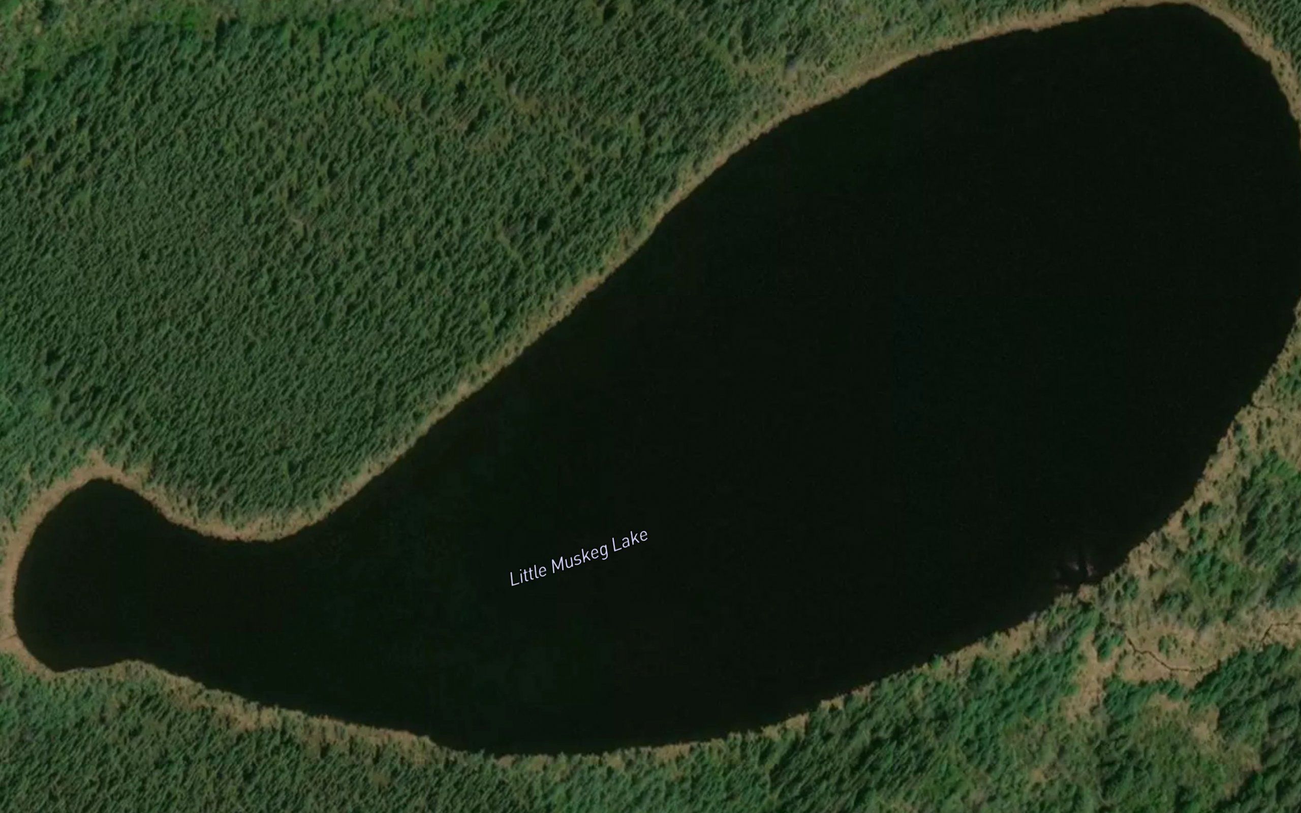 Little Muskeg Lake