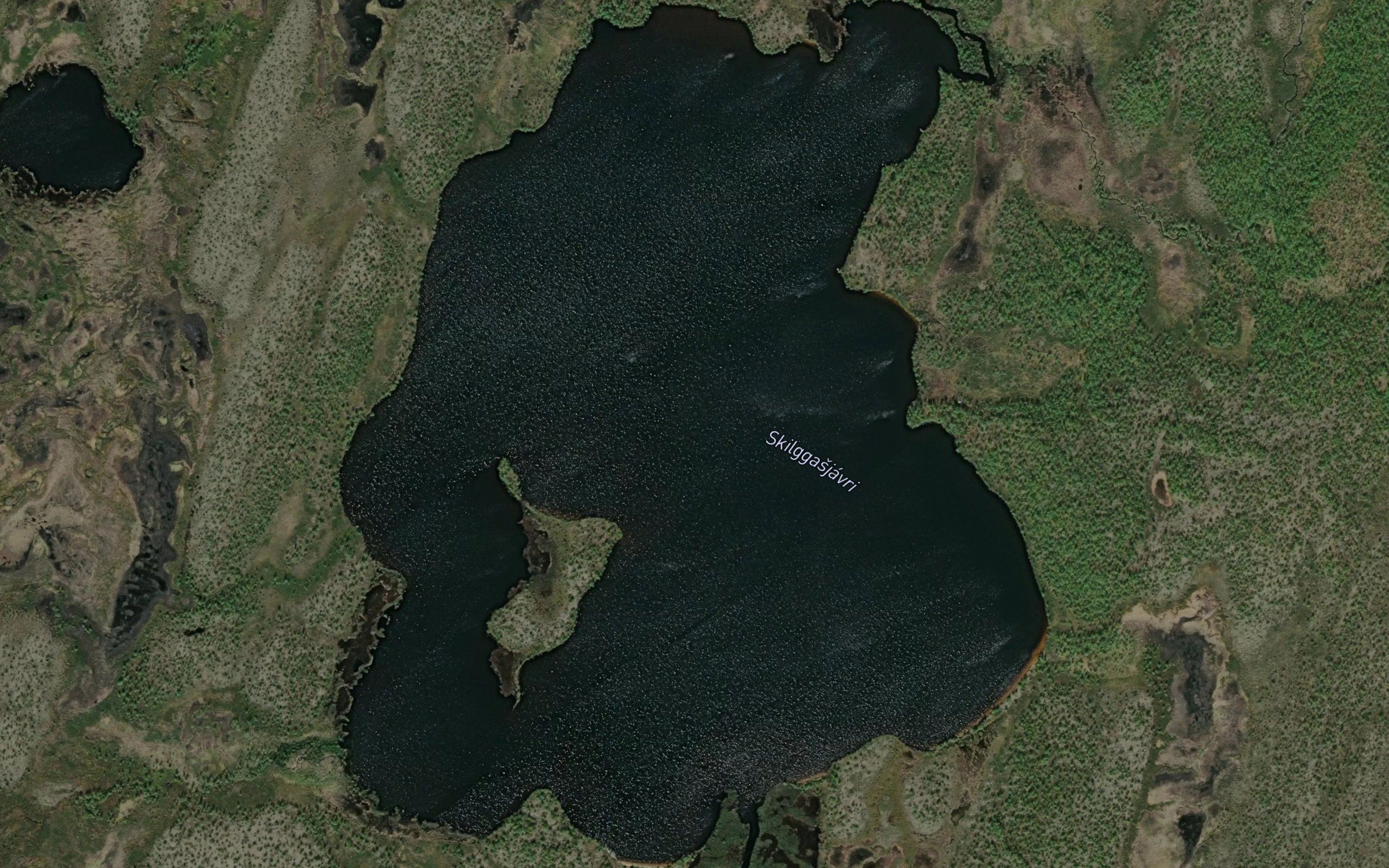 Skilgasjavri