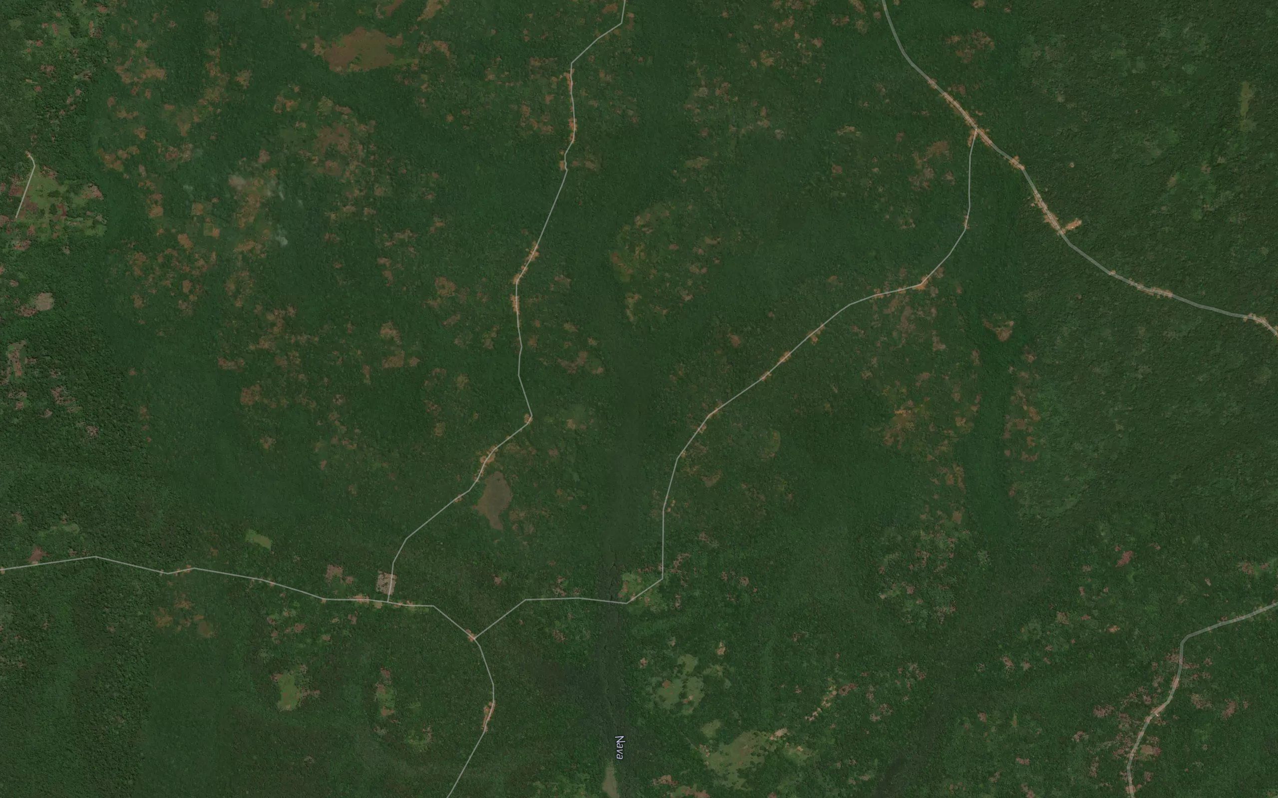 Napida