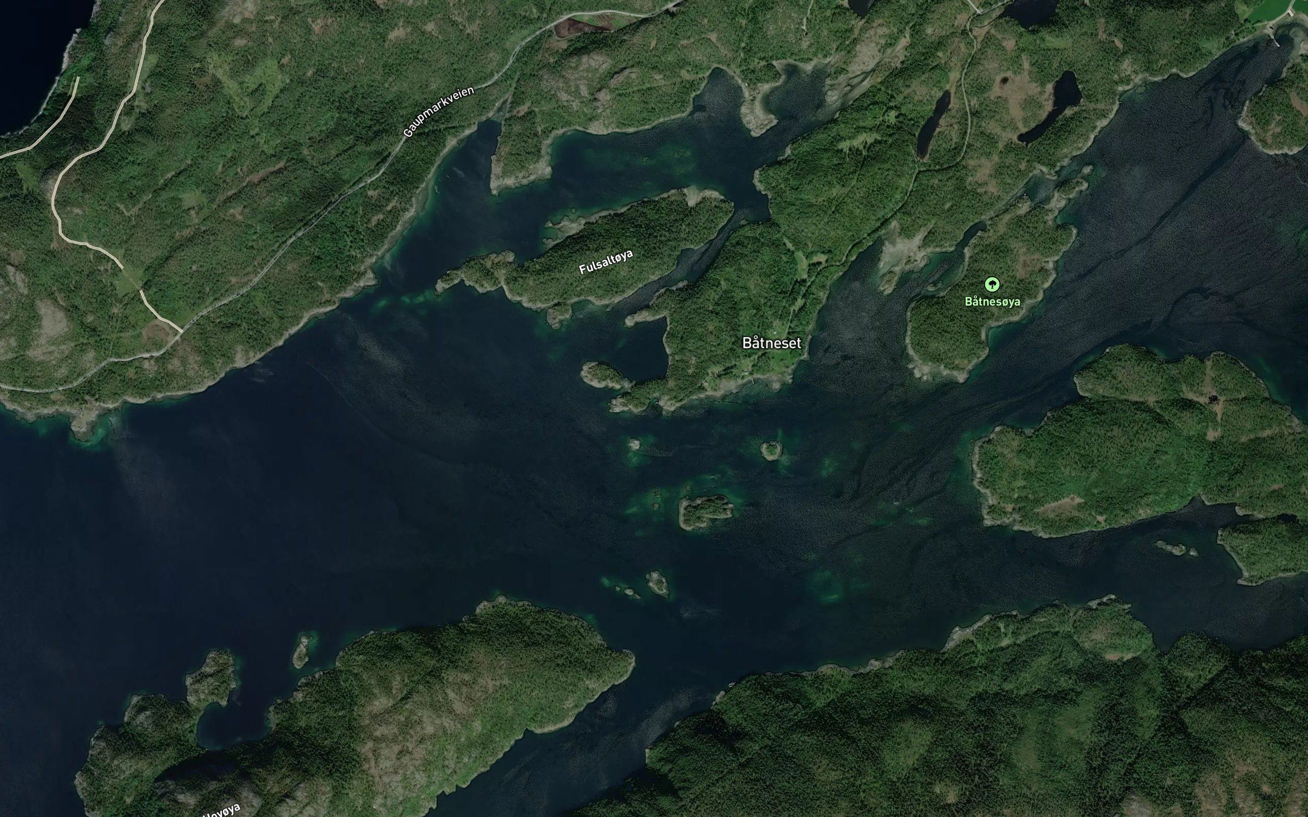 Johannesvika