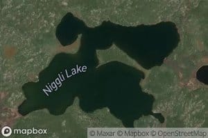 Niggli Lake