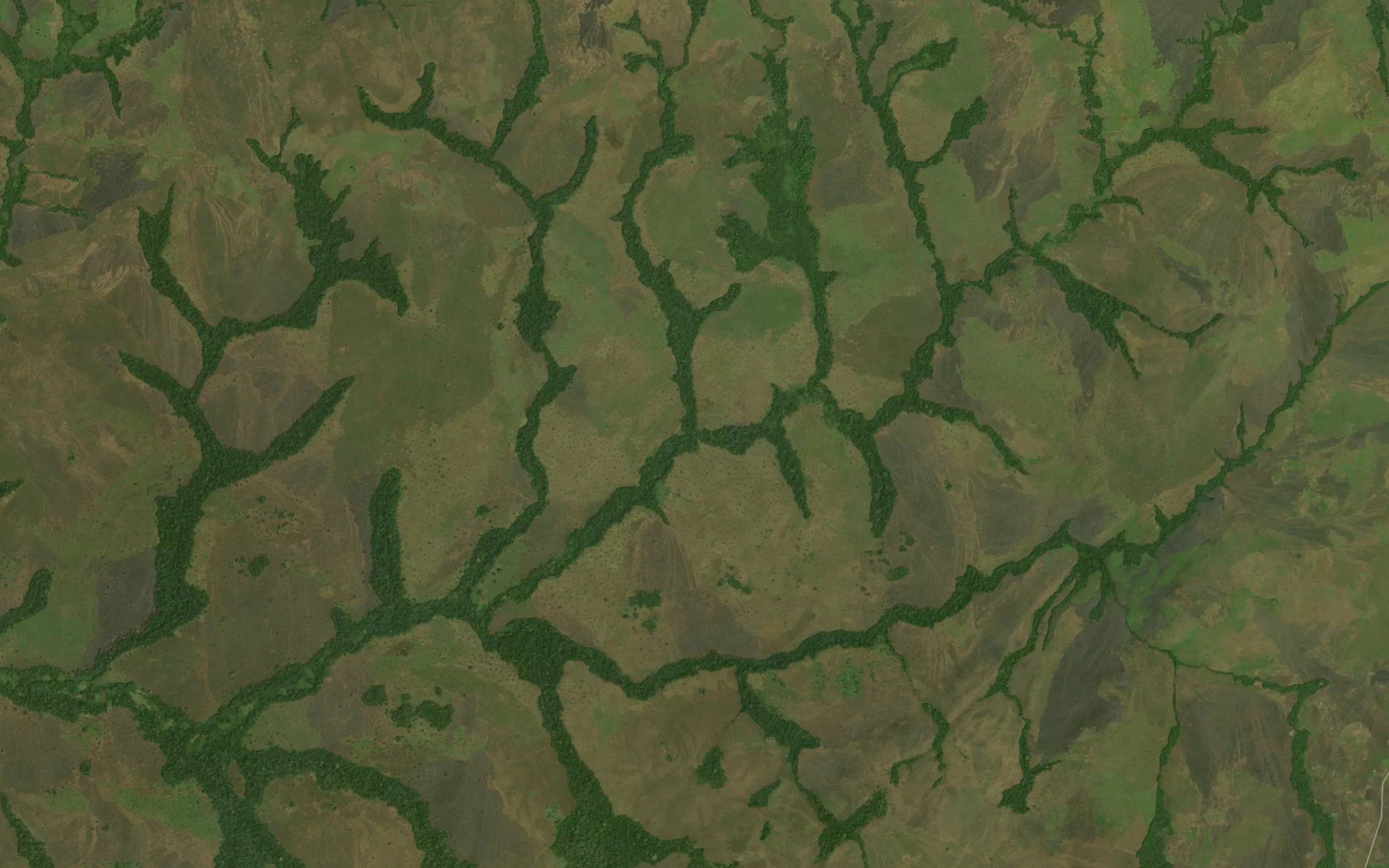 Bangola