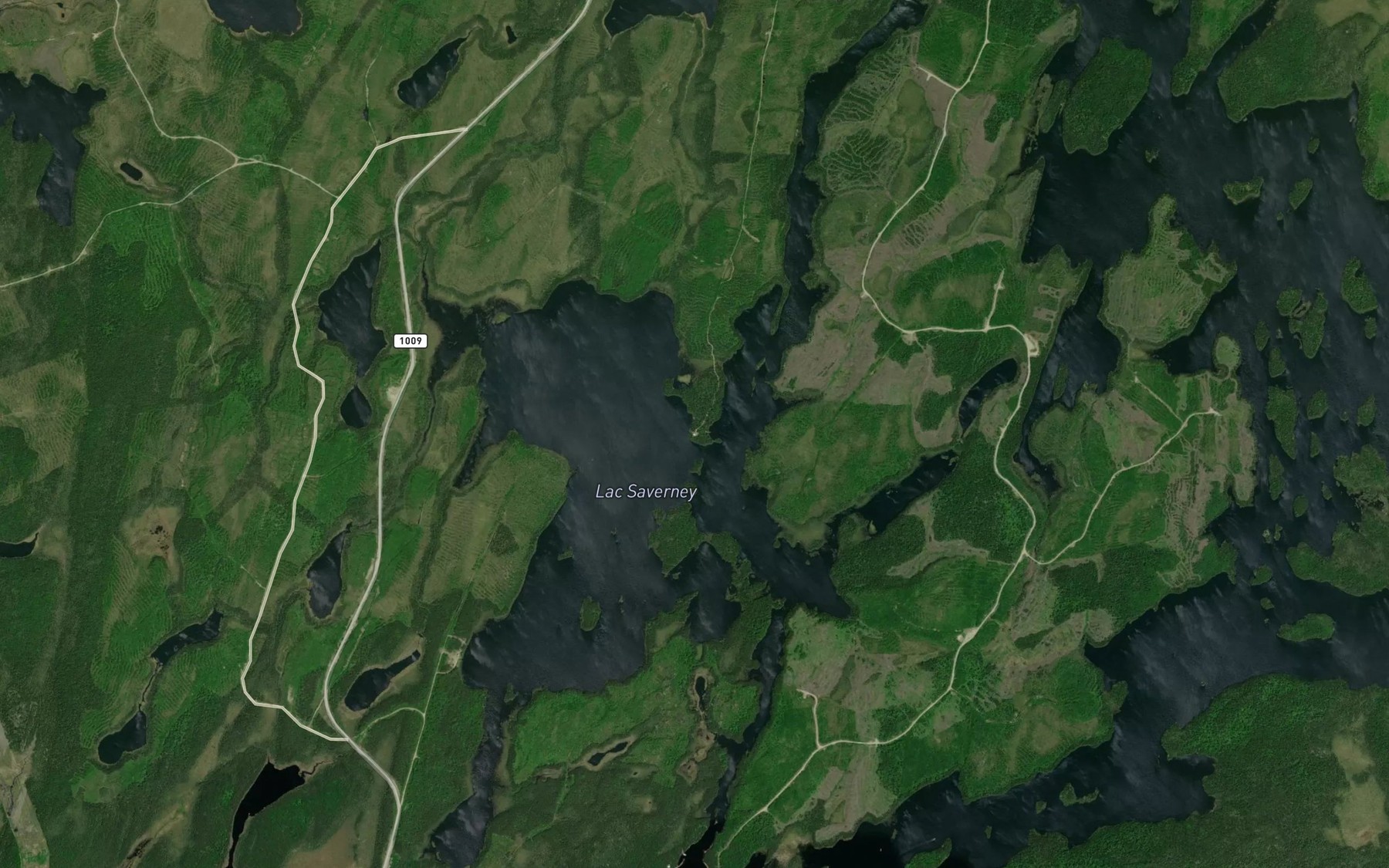 Satellite map of the Lac Saveney