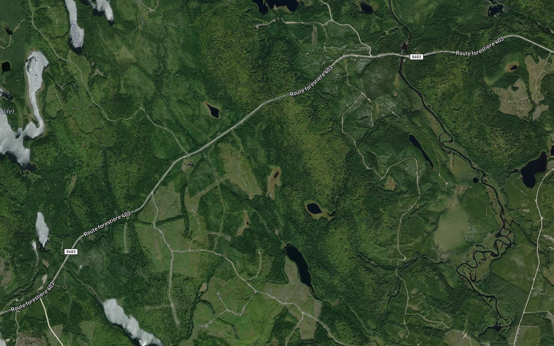 Satellite map of the Lac de la Scariole