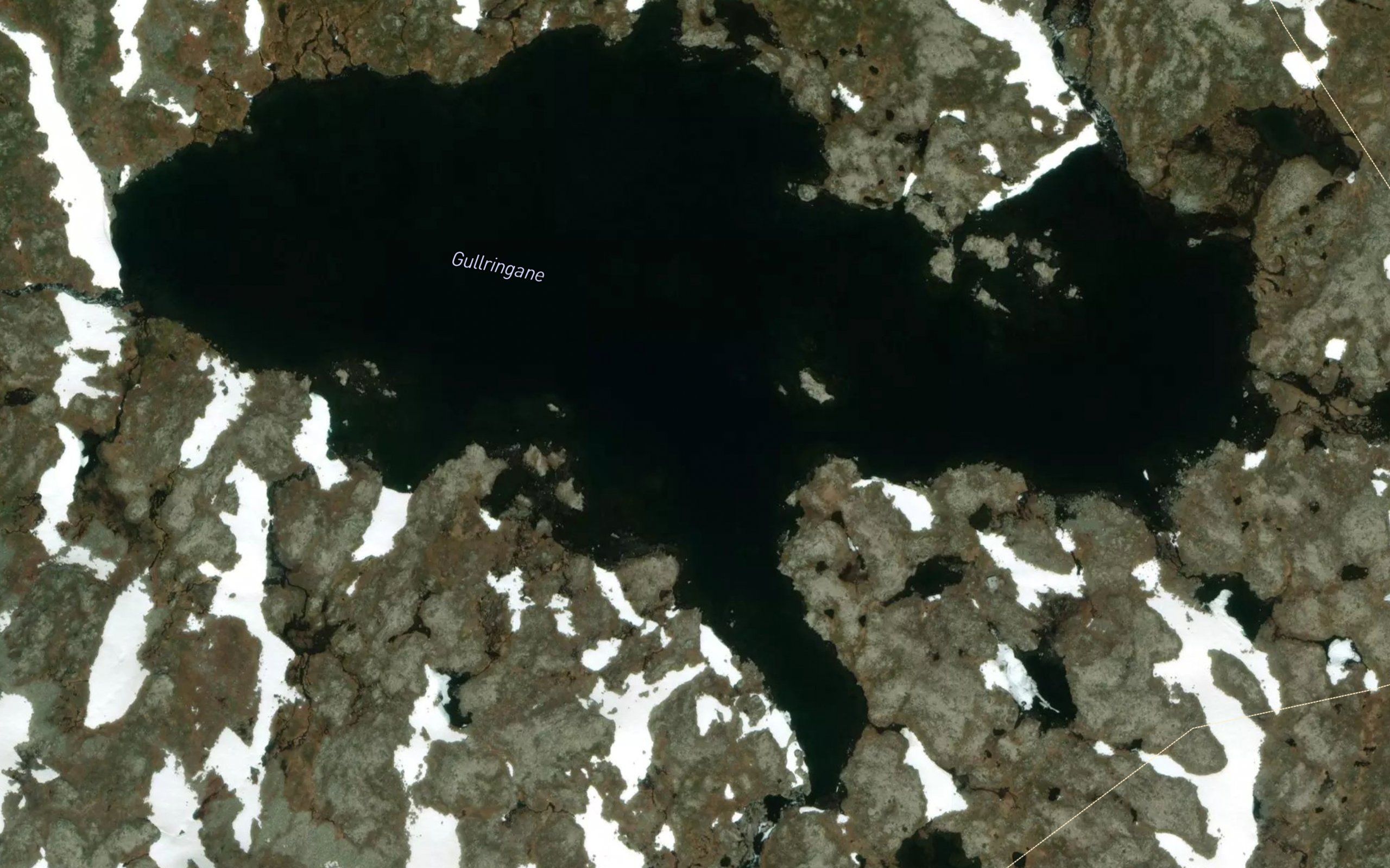 Gullringadn