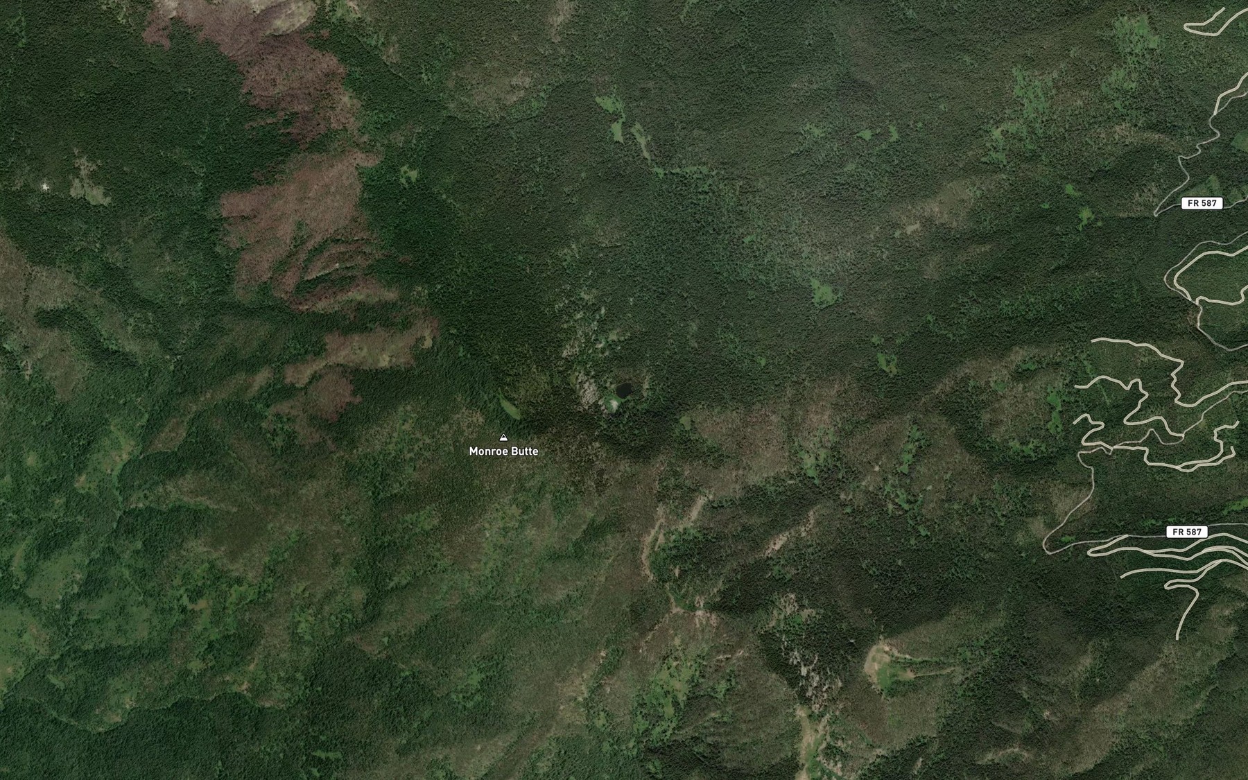 Satellite map of the Monroe Lake