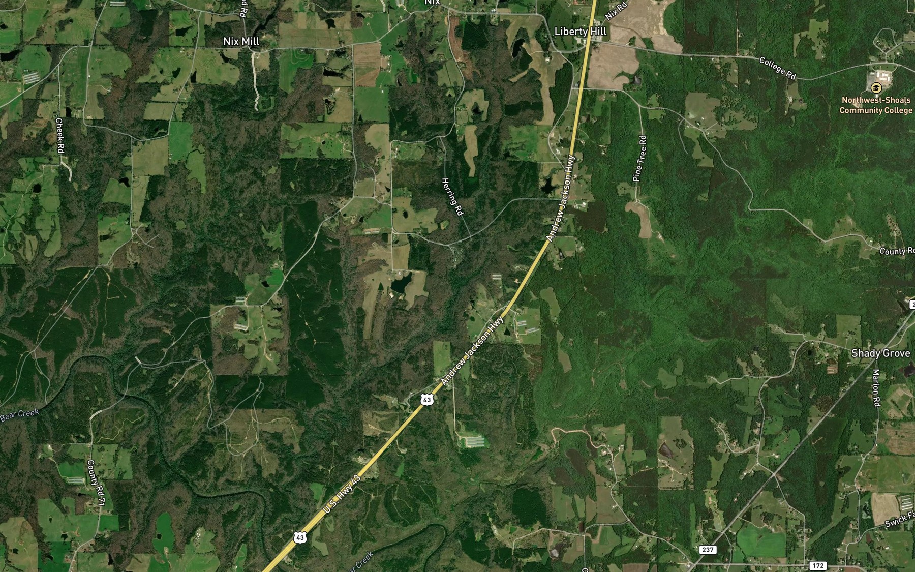 Satellite map of the East Prong Dismal Branch