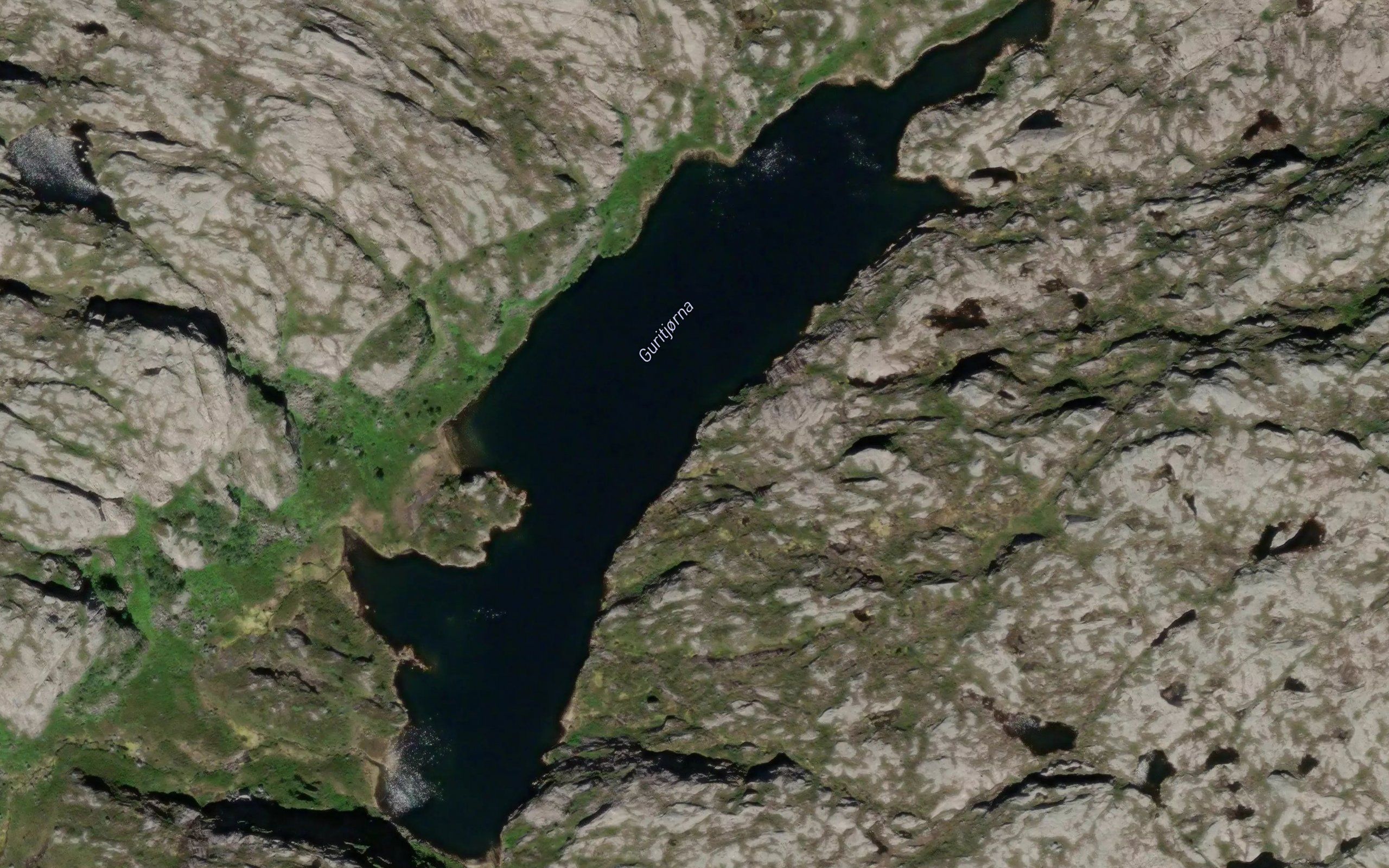 Guritjorna
