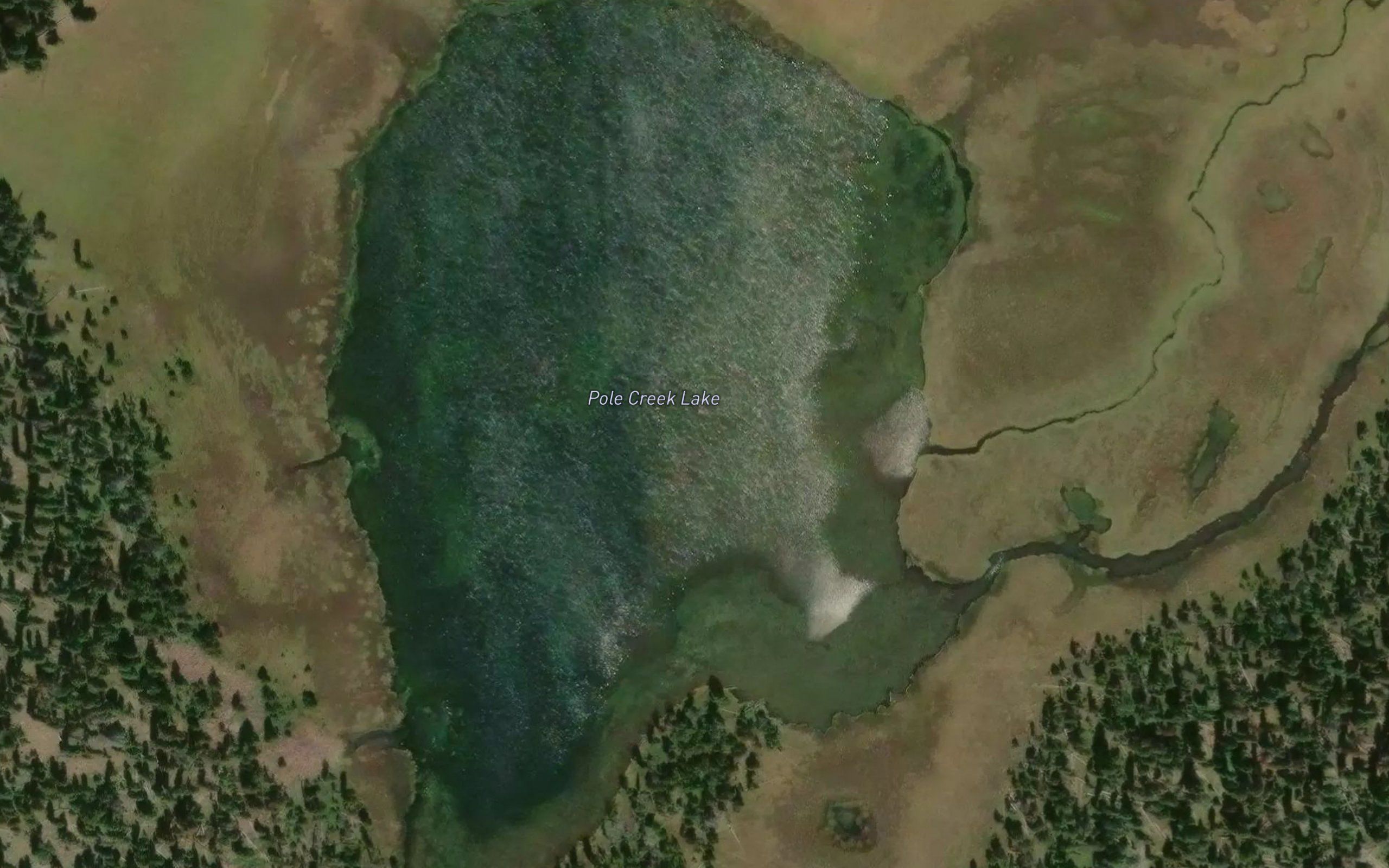 Pole Creek Lake