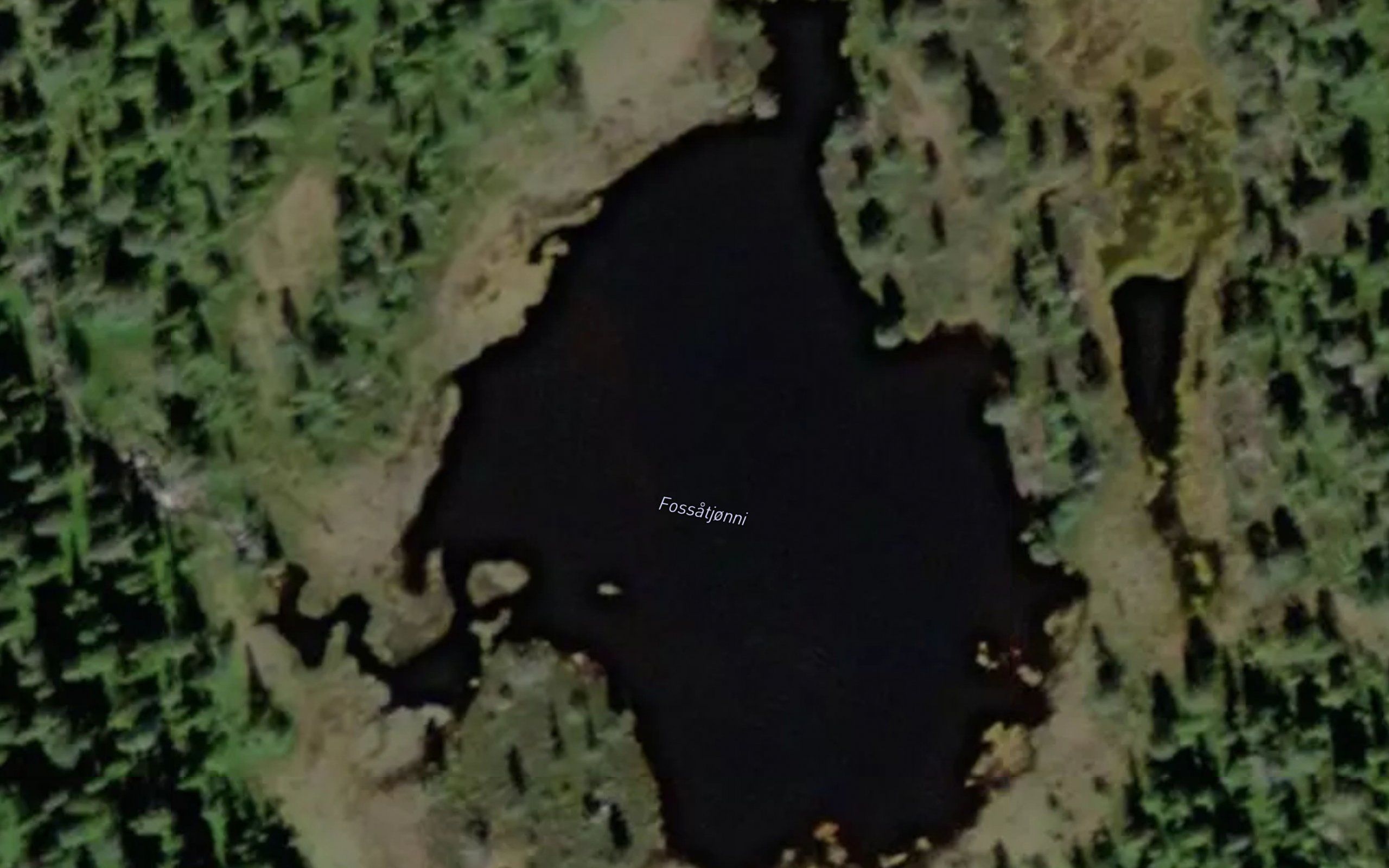 Fossatjorni