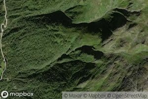 Mossbekkjuvet