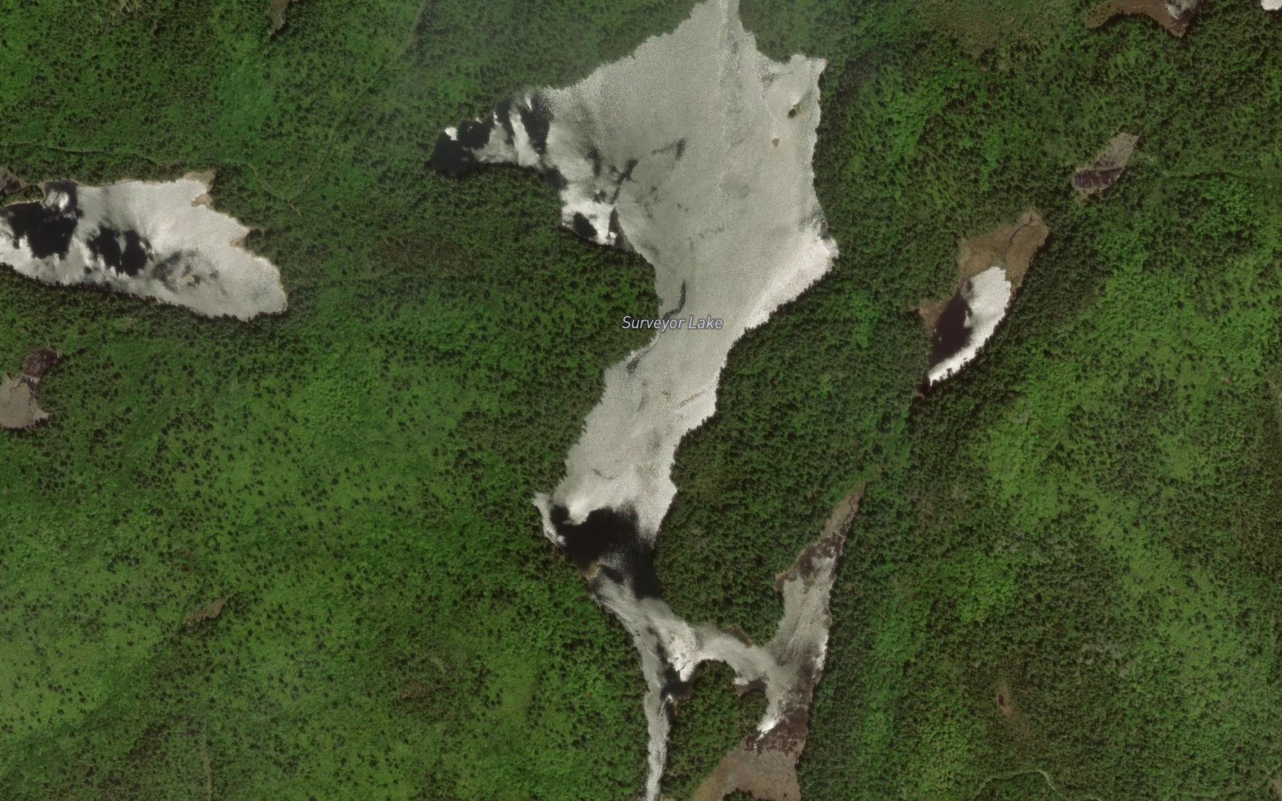 Satellite map of the Surveyor Lake