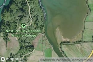 Little Nestucca River