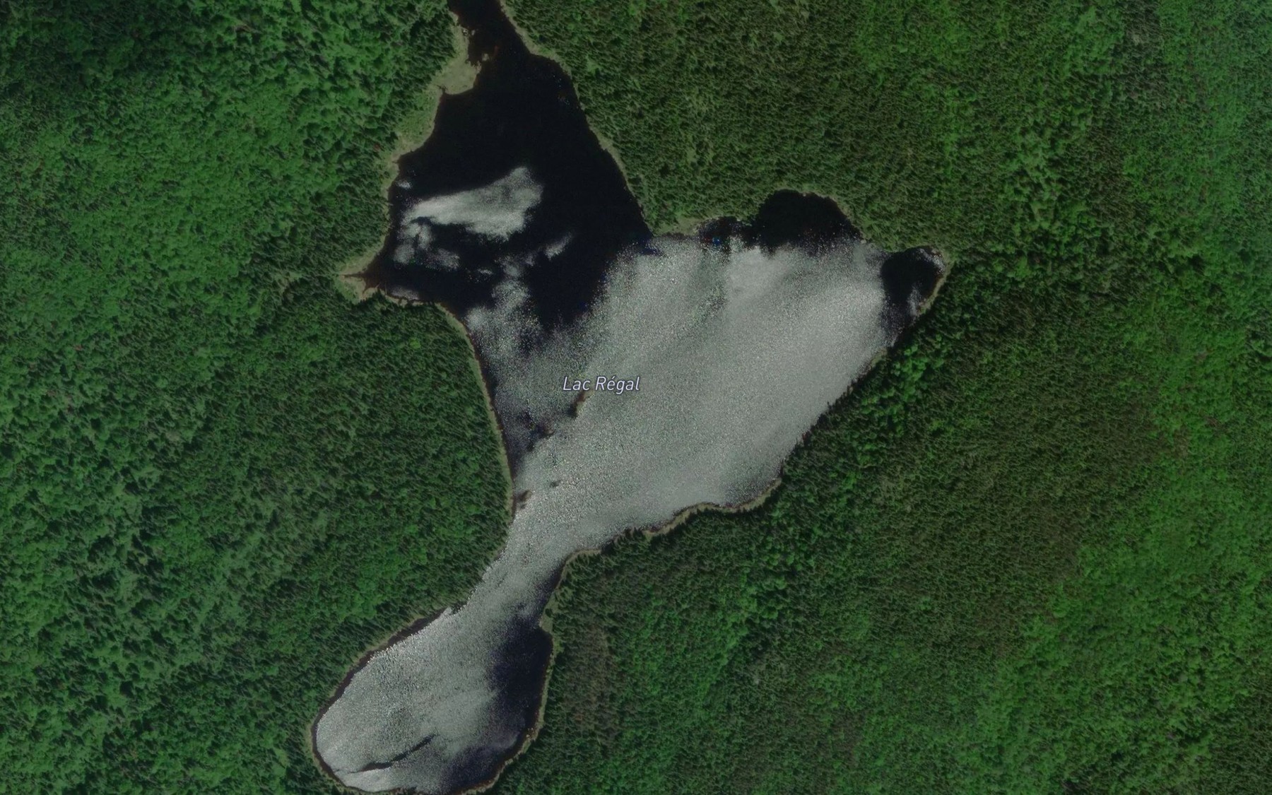 Satellite map of the Lac Regal
