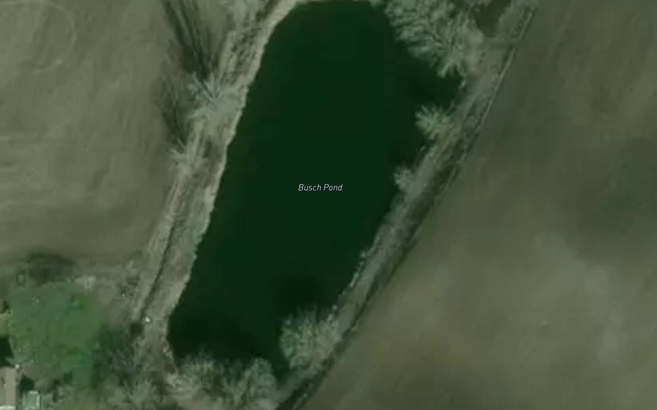 Busch Pond
