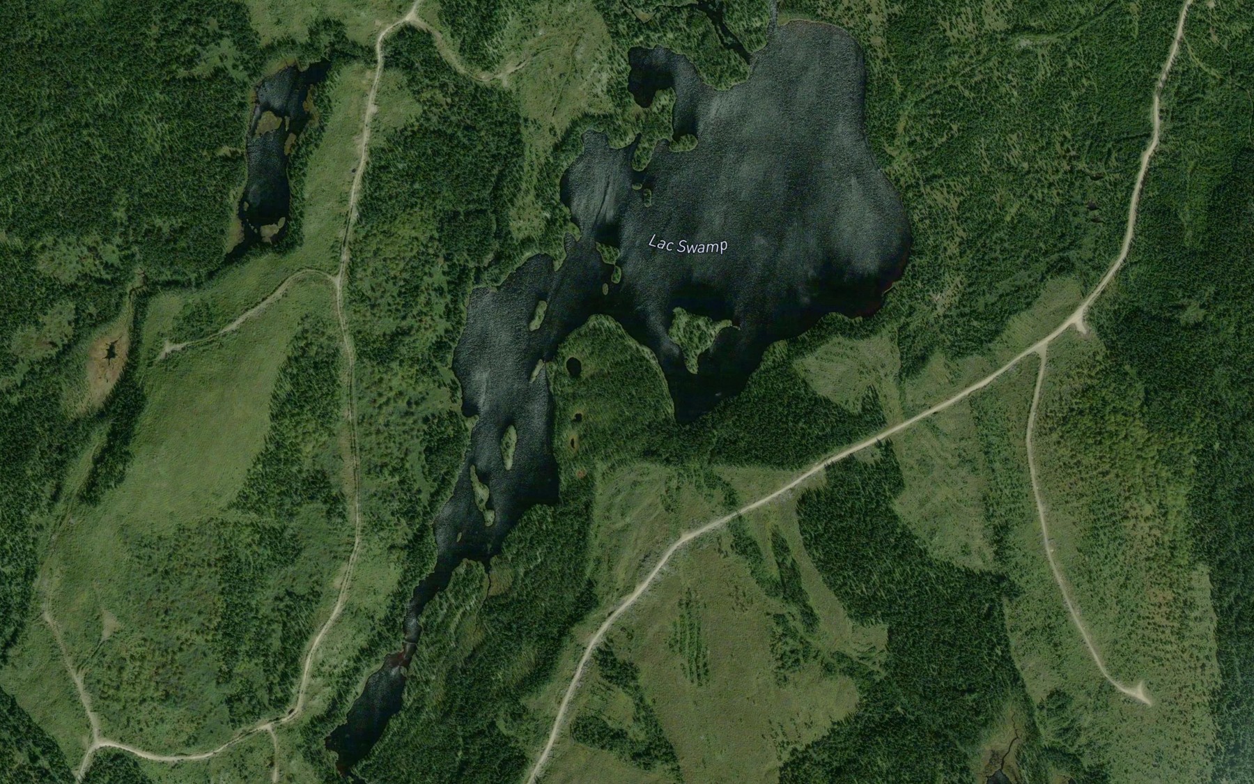 Satellite map of the Lac Swamp