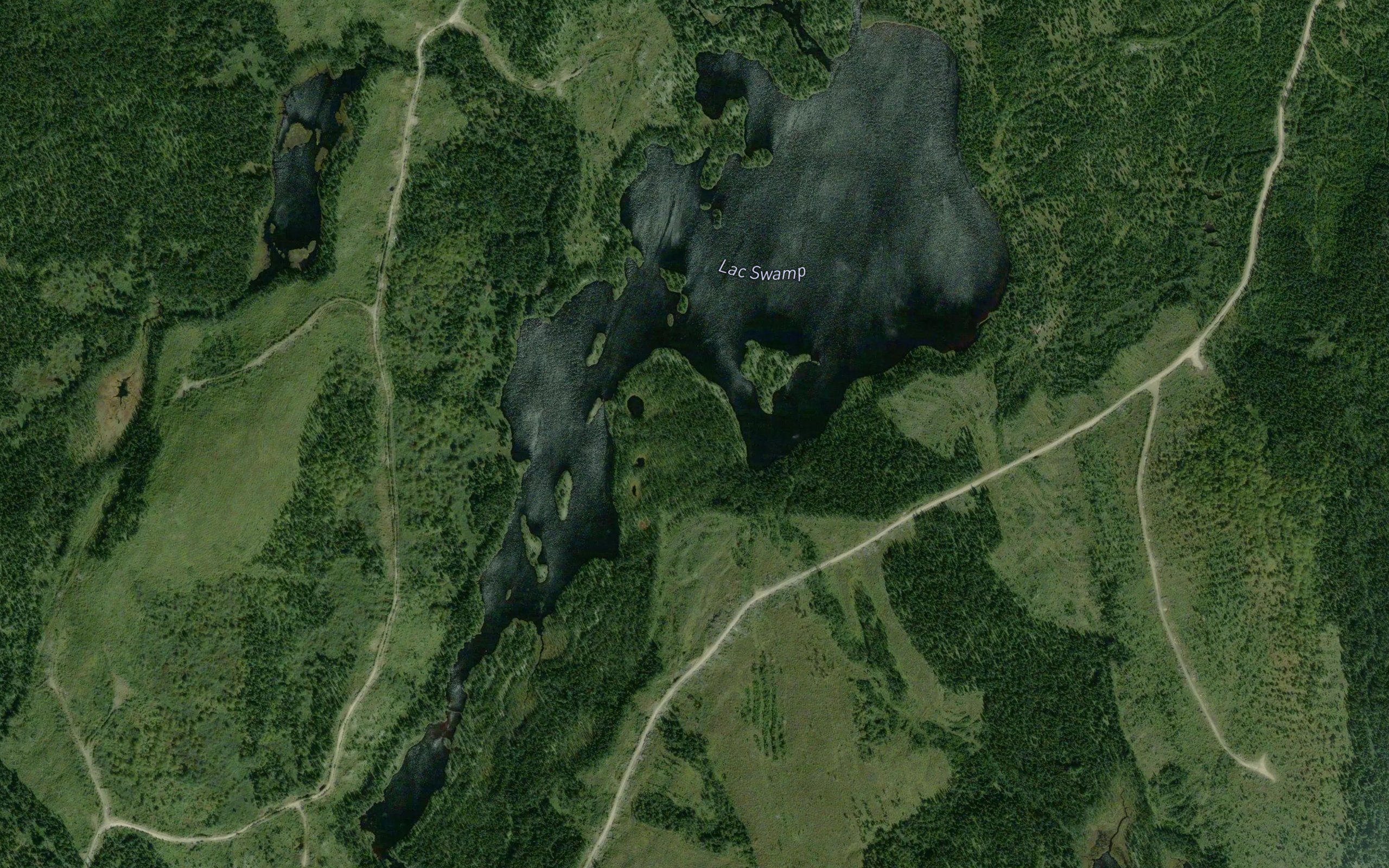 Lac Swamp