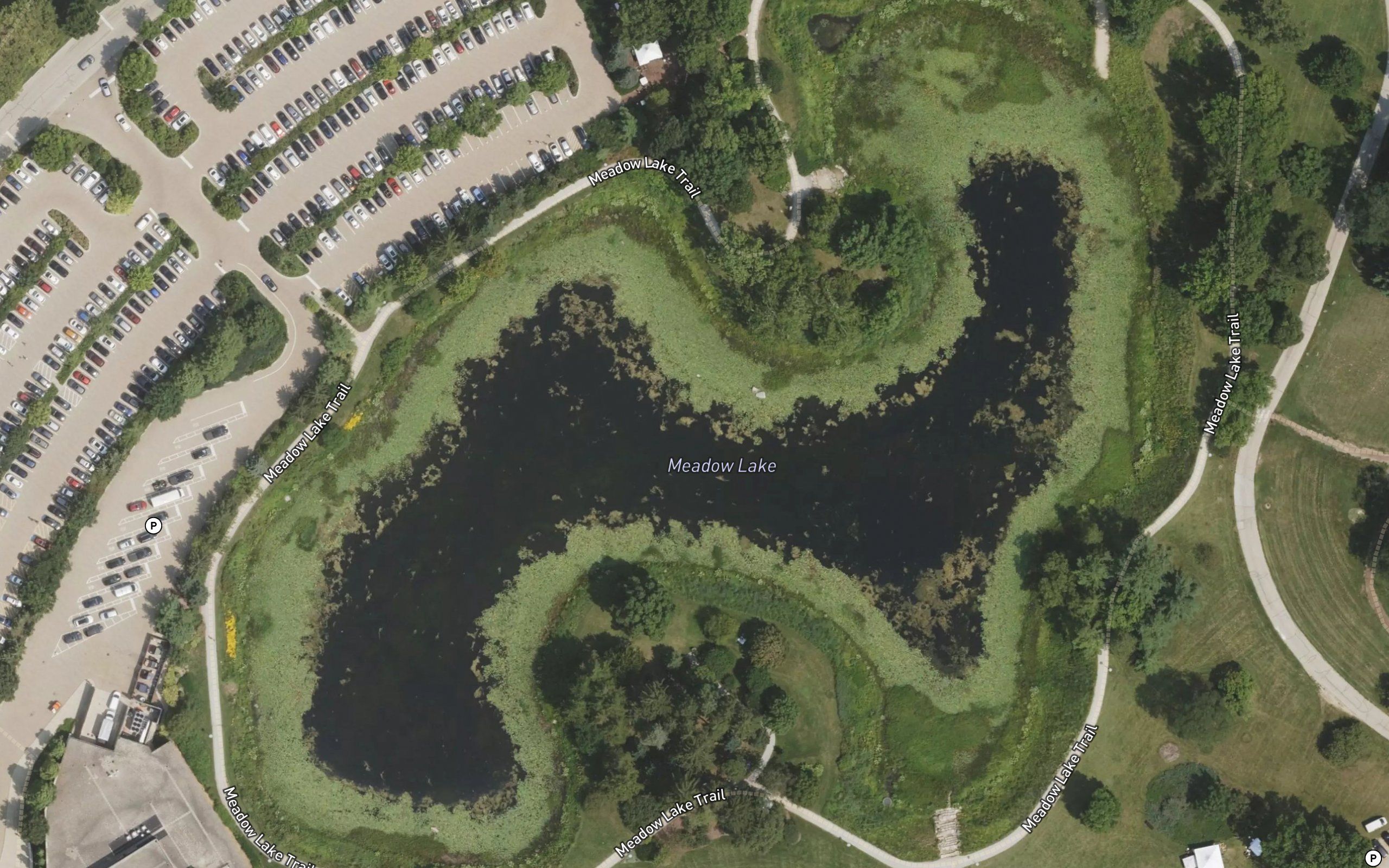 Meadow Lake