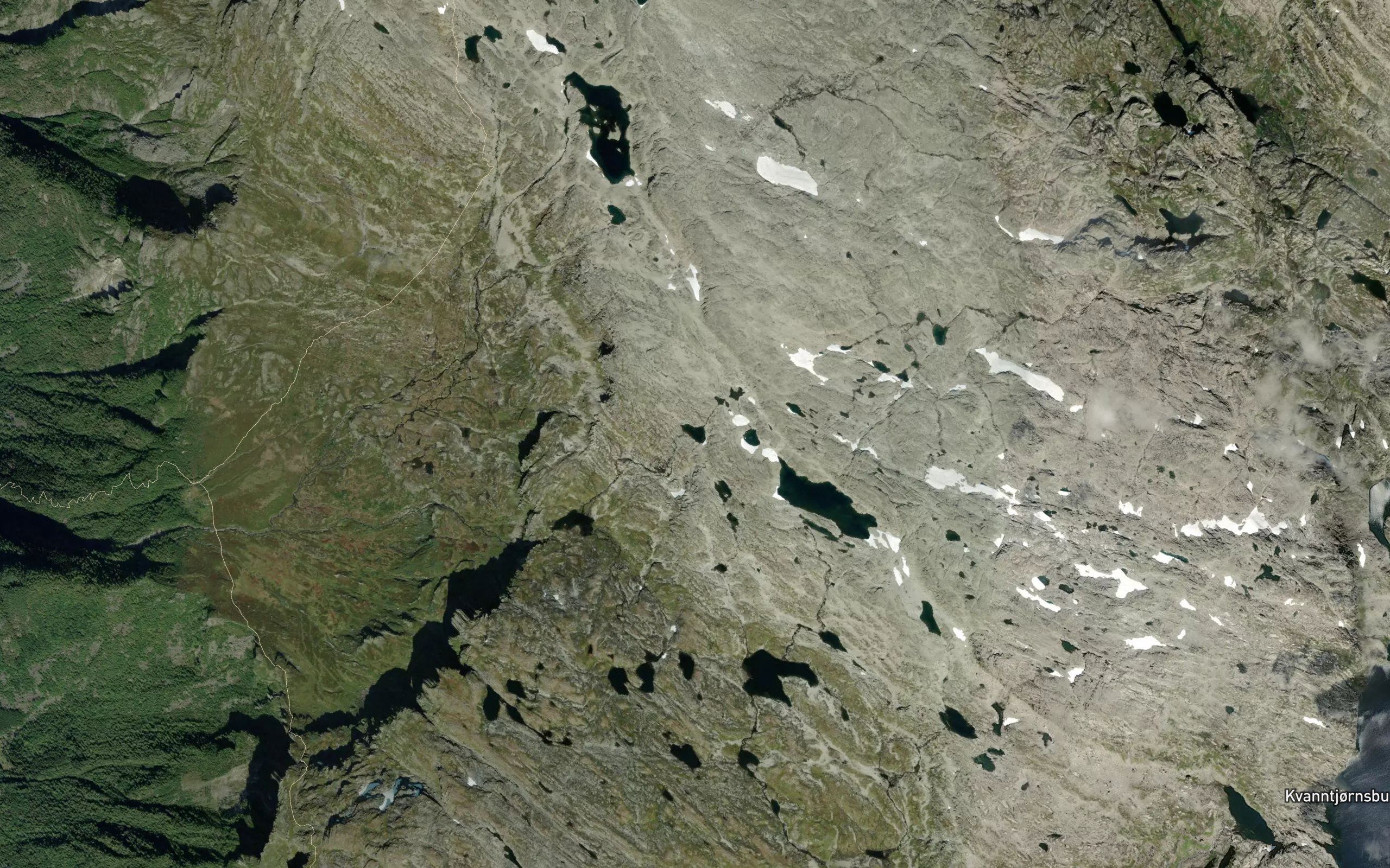 Ragdetjorn