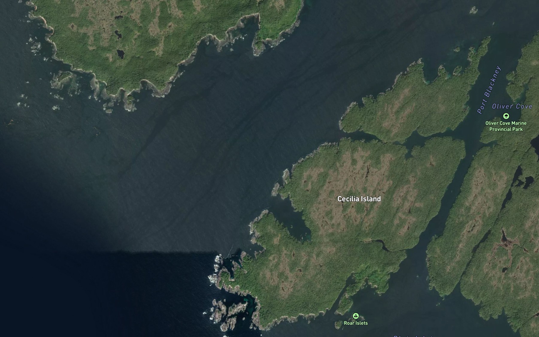 Satellite map of the Flounce Reef