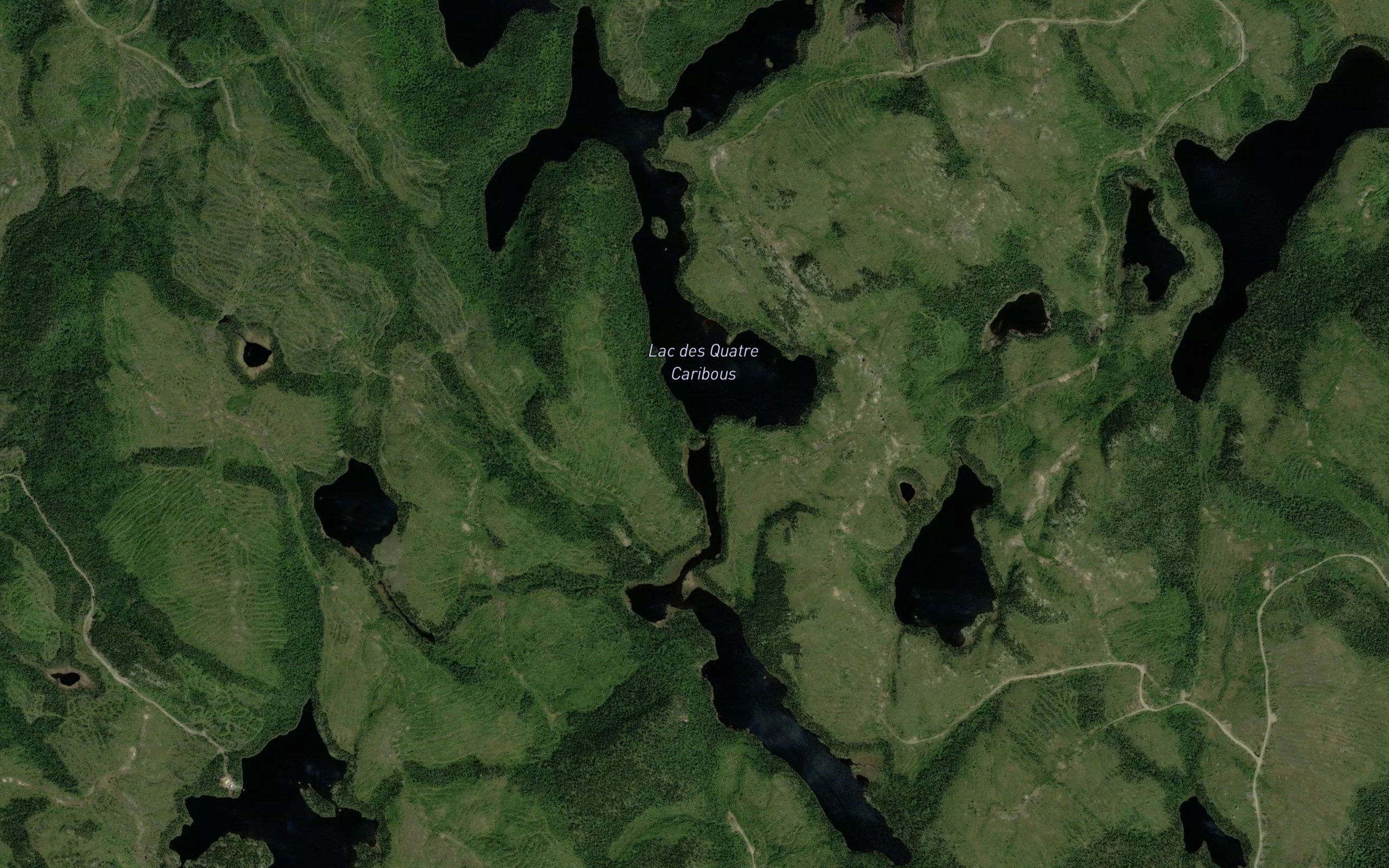 Lac des Quatre Caribous