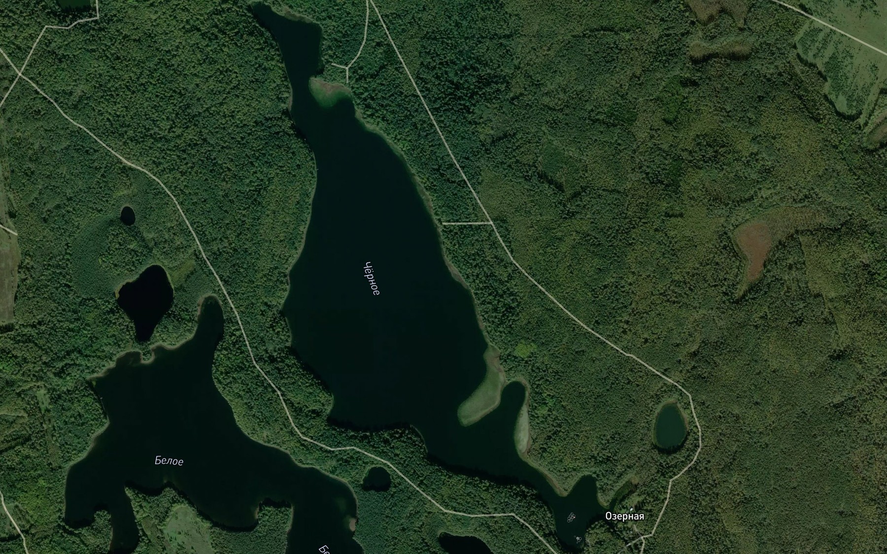 Satellite map of the Ozero Chenoye