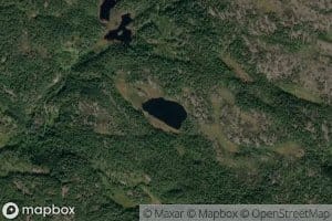 Farlitjorn