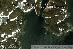 Venison Tickle